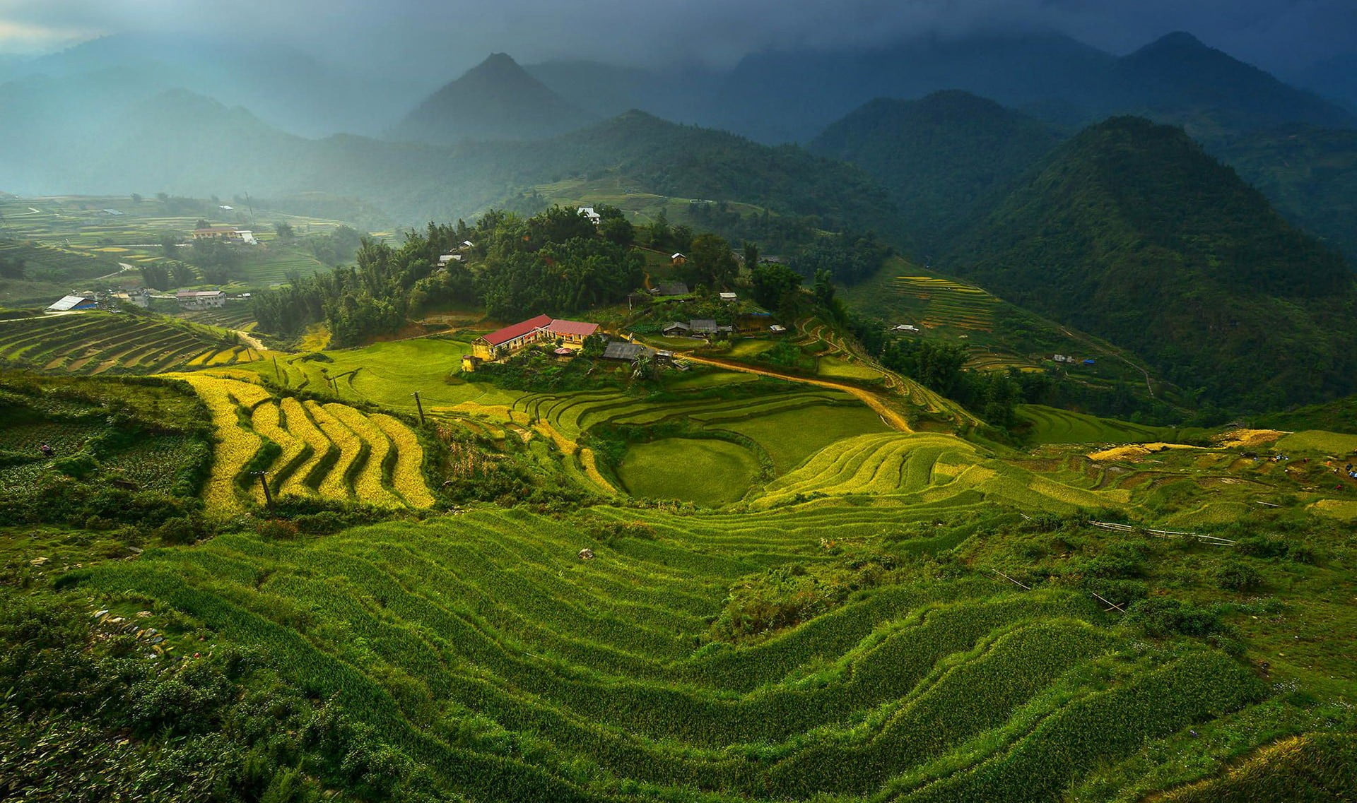rice terraces landscape Vietnam terraced field agriculture 2k