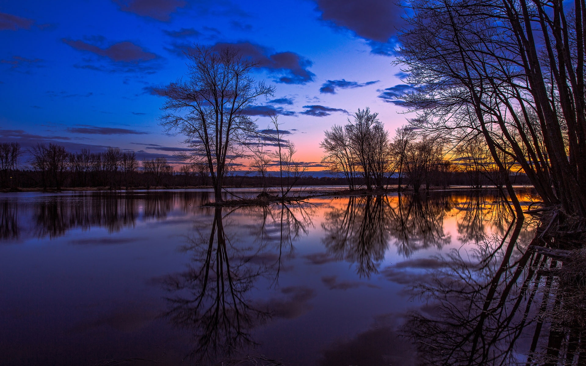 Canada Ontario lake reflection trees sunset beautiful scenery 2k