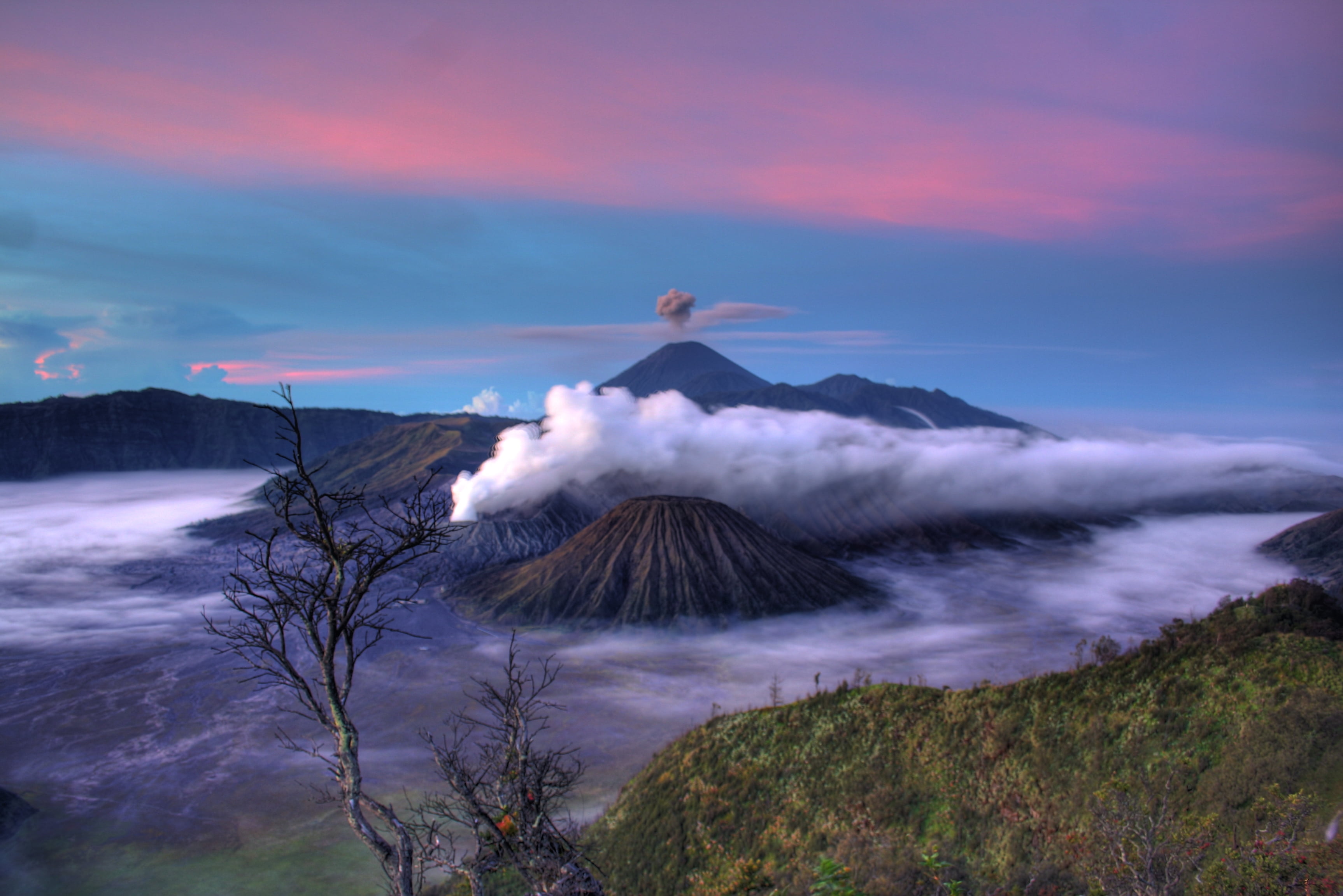 leafless tree and volcano view Gunung Bromo HDR crater 2k