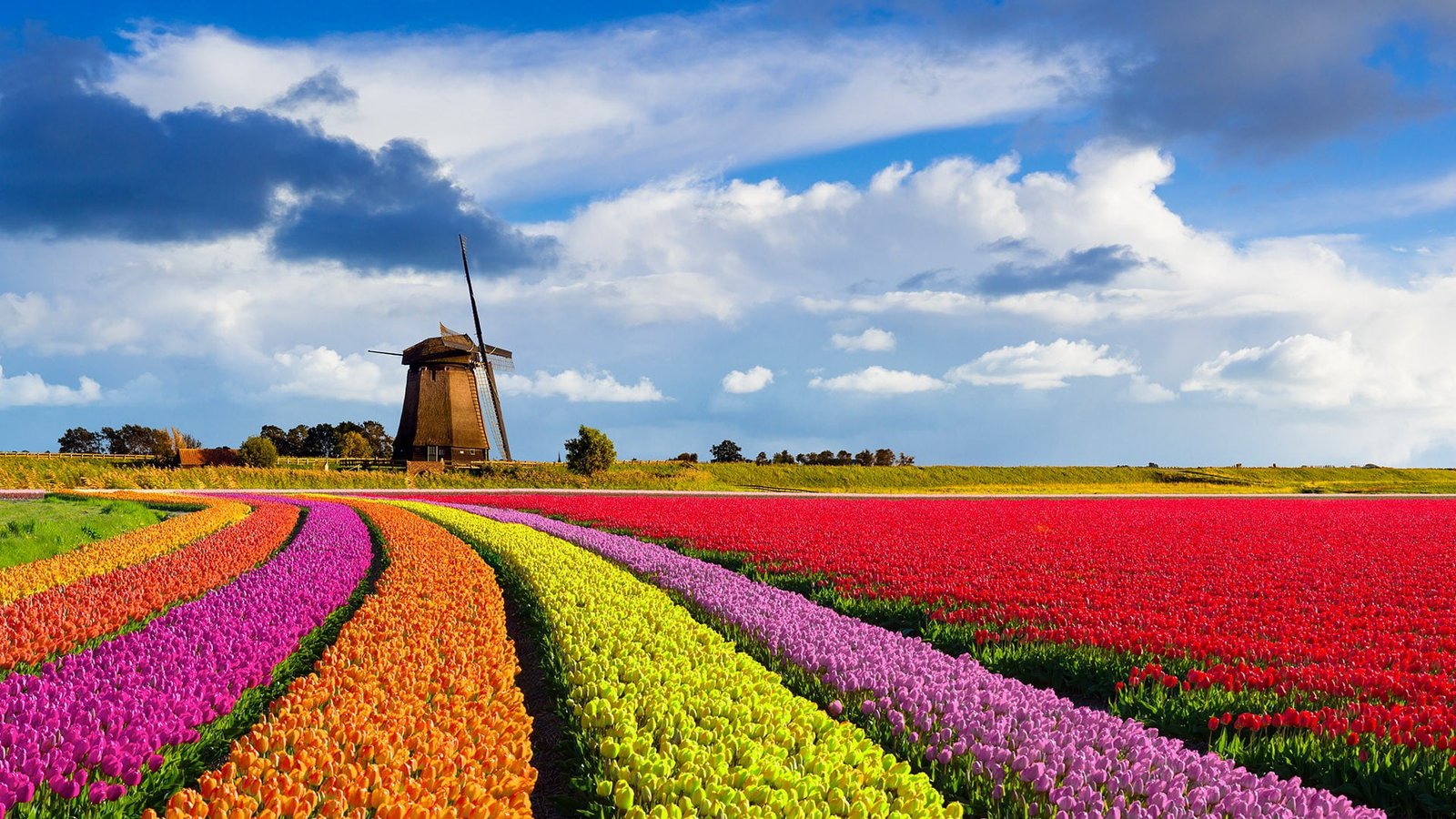 nature landscape windmill flowers clouds sky red 2k