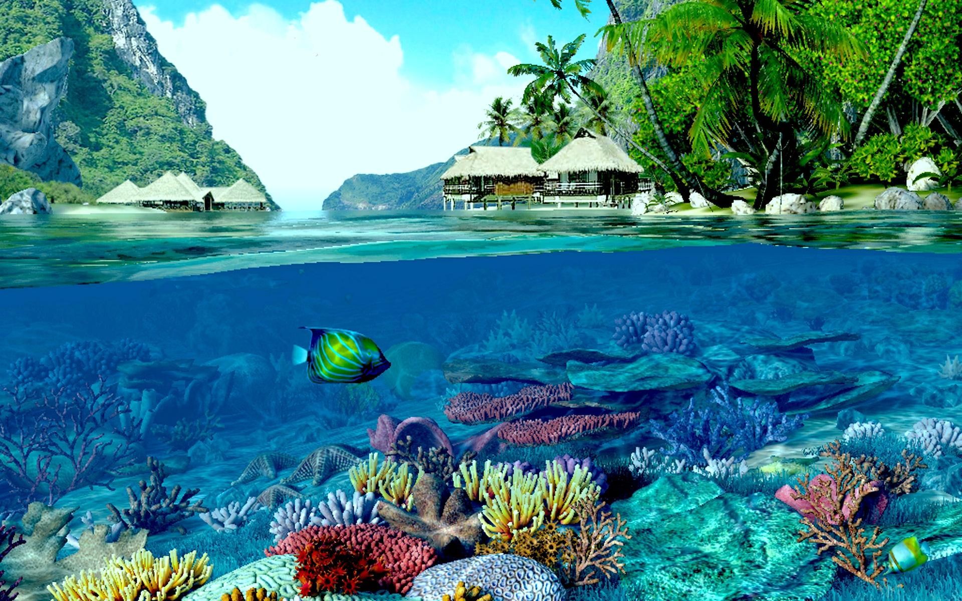 The Two Worlds land coral water reef beach ocean 2k