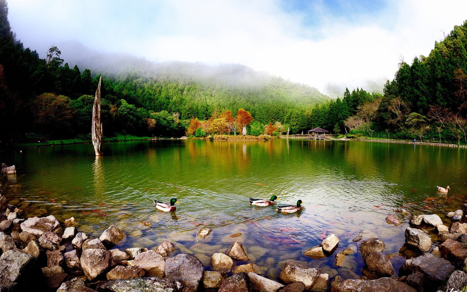 images of natures beauty 2k