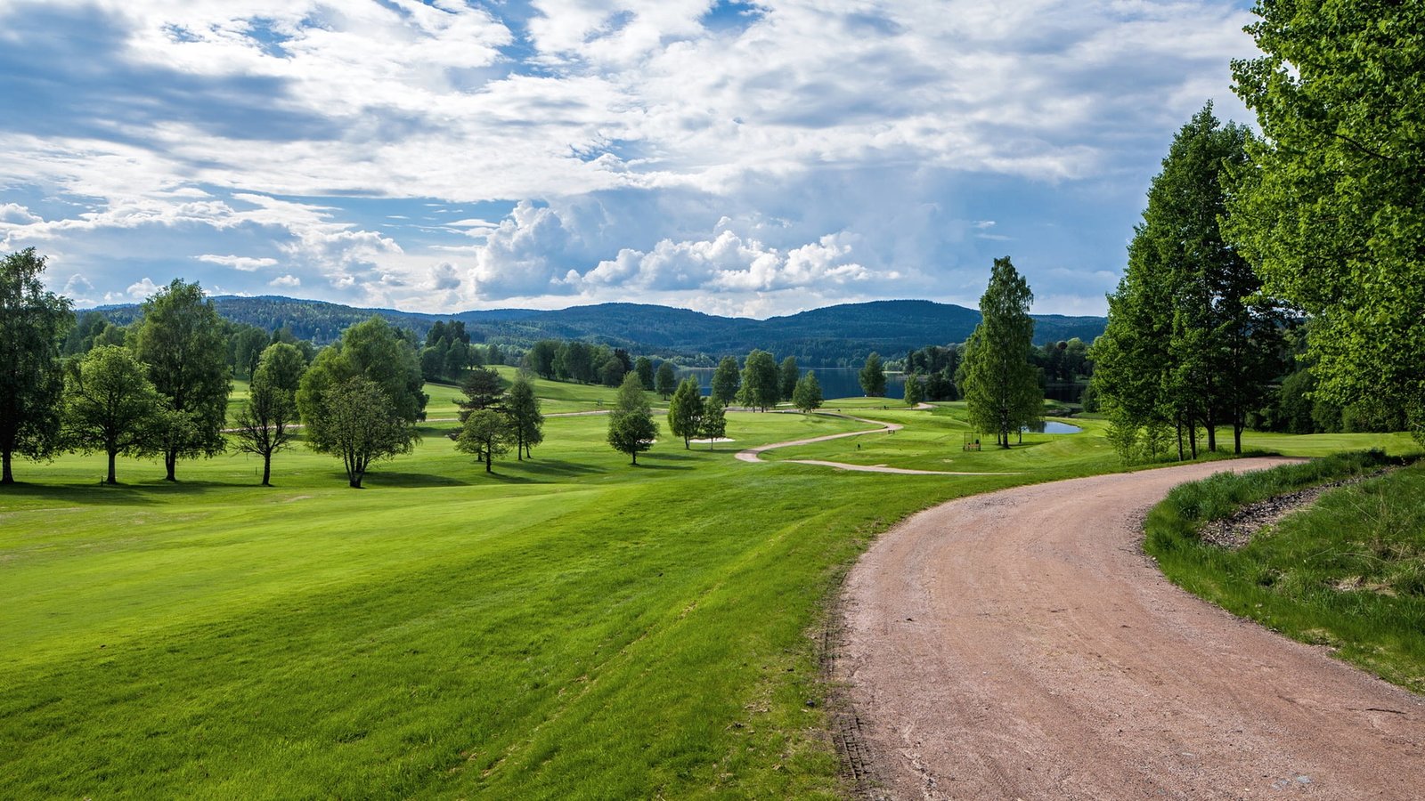 Norway summer landscape grass trees road hills green 2k