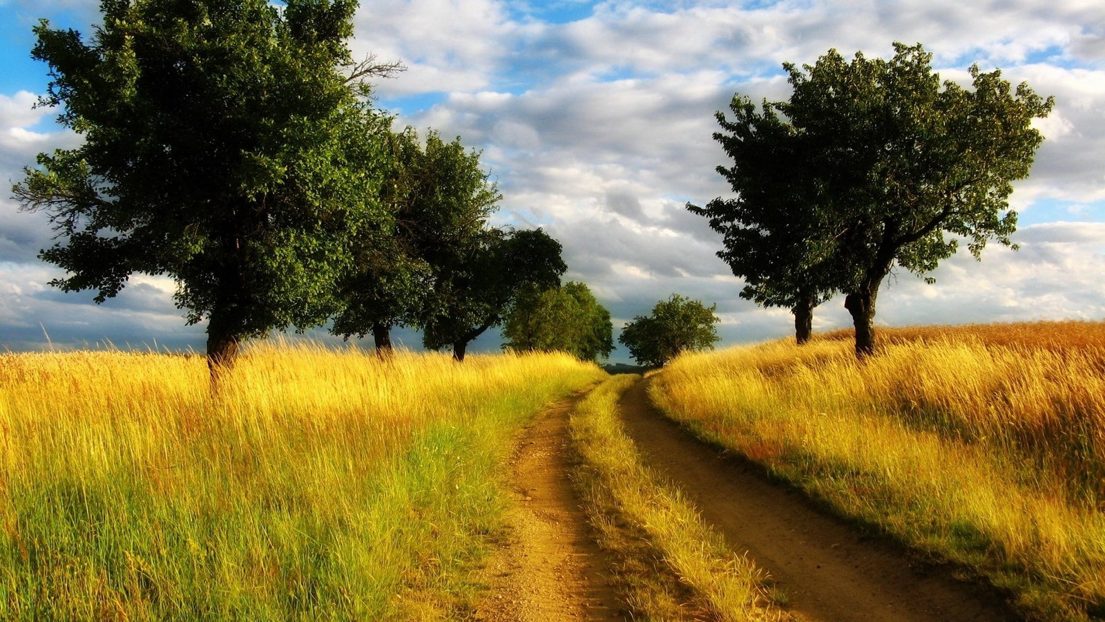 images backgrounds nature 2k