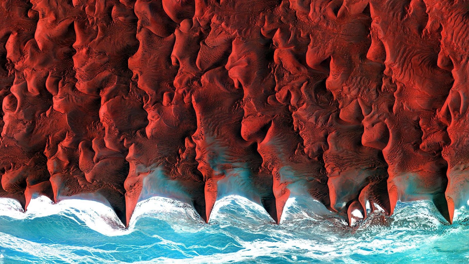 red and blue abstract painting nature aerial view satellite 2k