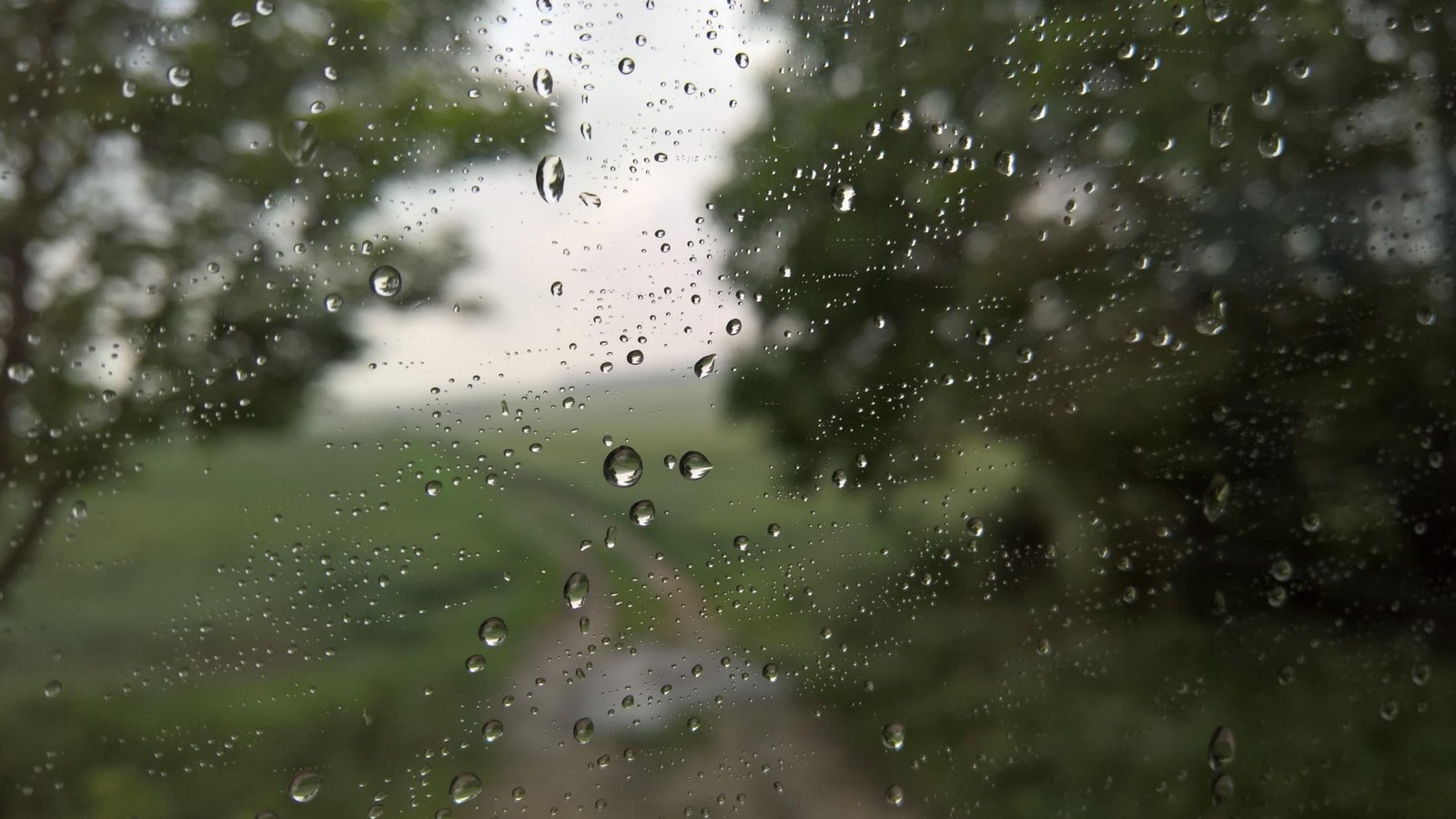 autumn window rain drops nature 2k 4k
