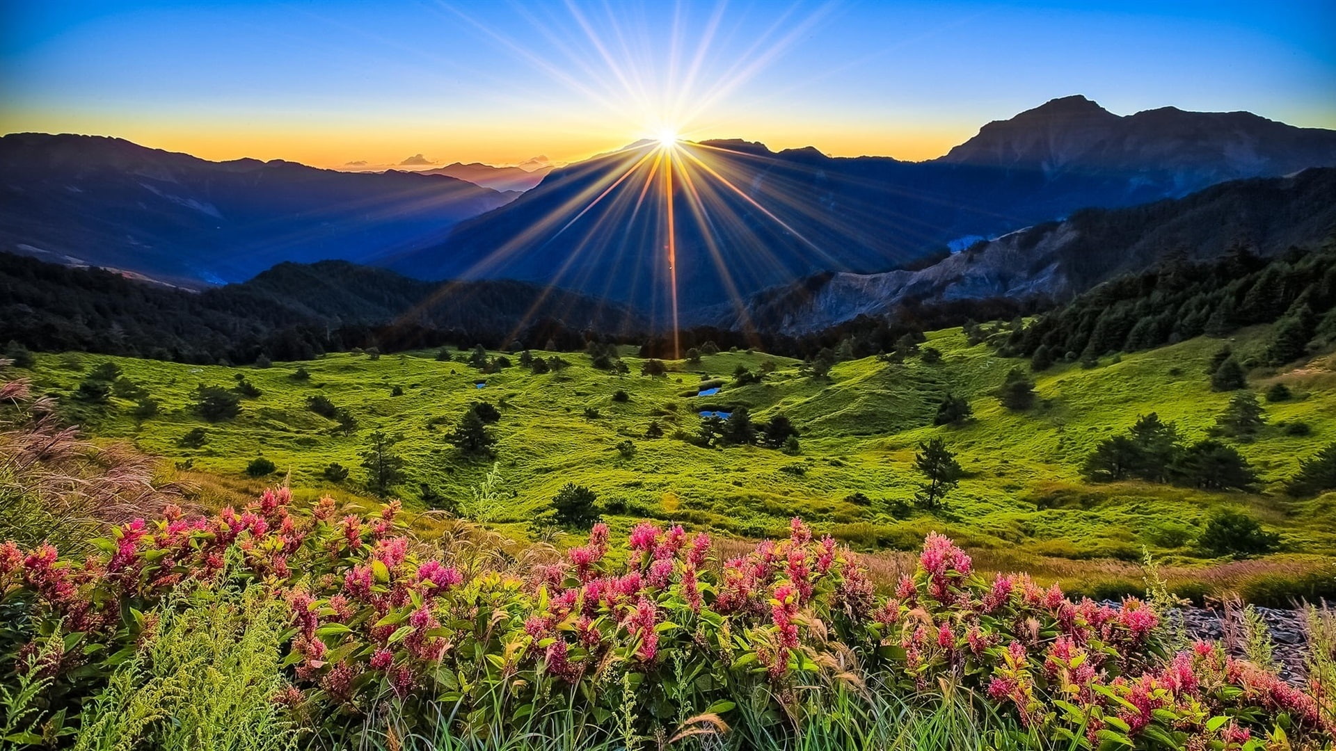 Mountains meadow sunrise flowers beautiful scenery 2k