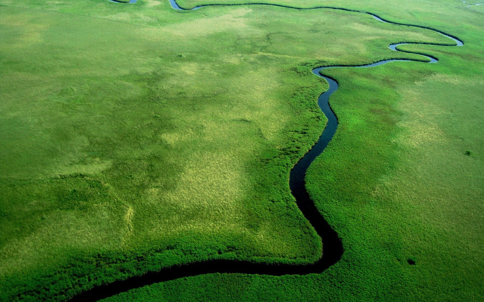 river nature aerial view green 2k