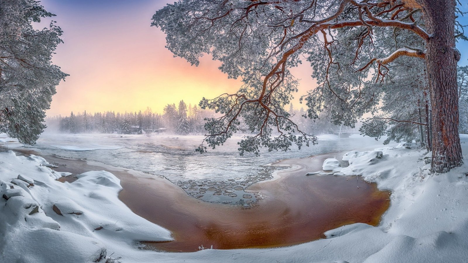nature snow winter trees landscape cold 2k