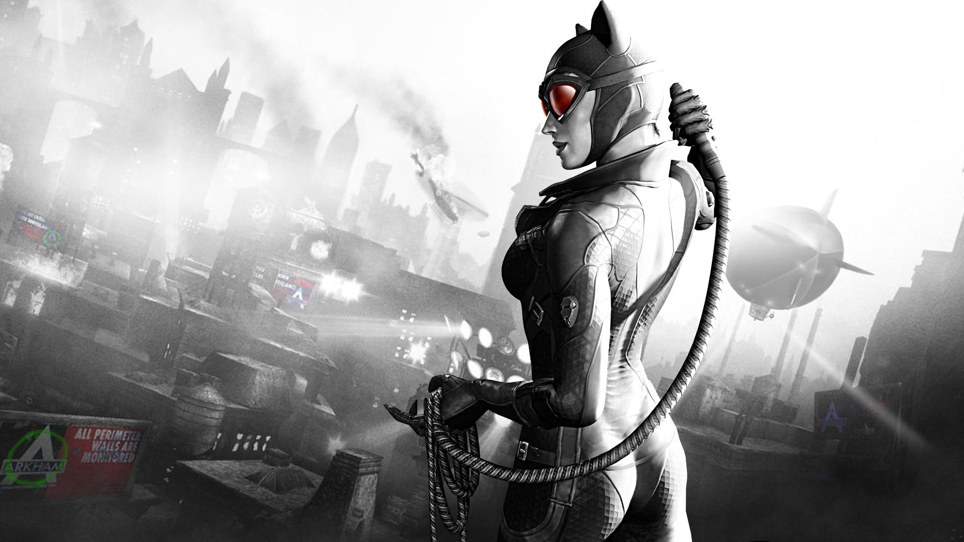 DC Catwoman illustration Batman Arkham City superhero video games 2k