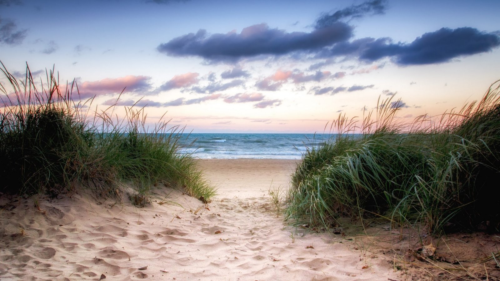 Earth Beach Grass Horizon Ocean Path Sand Sea 2k