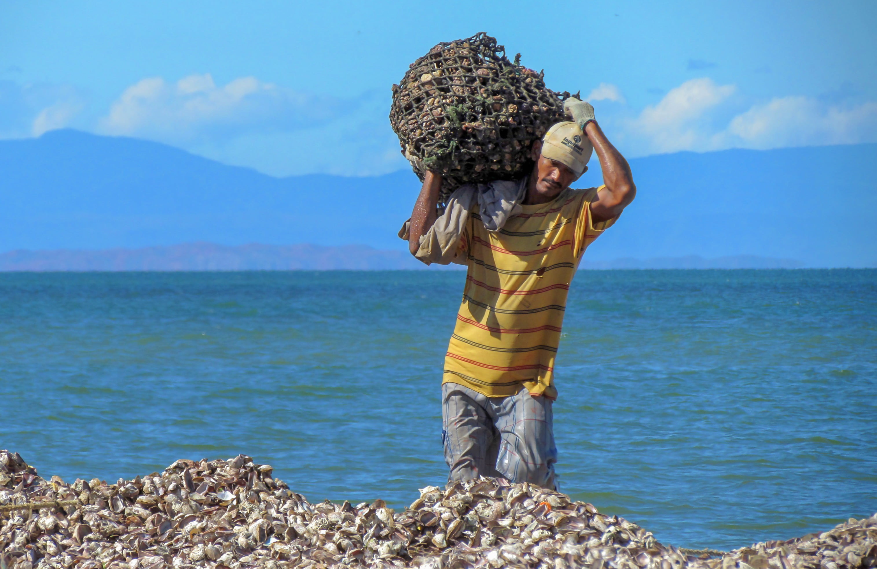 man carrying brown seashell lot near the body of water at daytime 2k