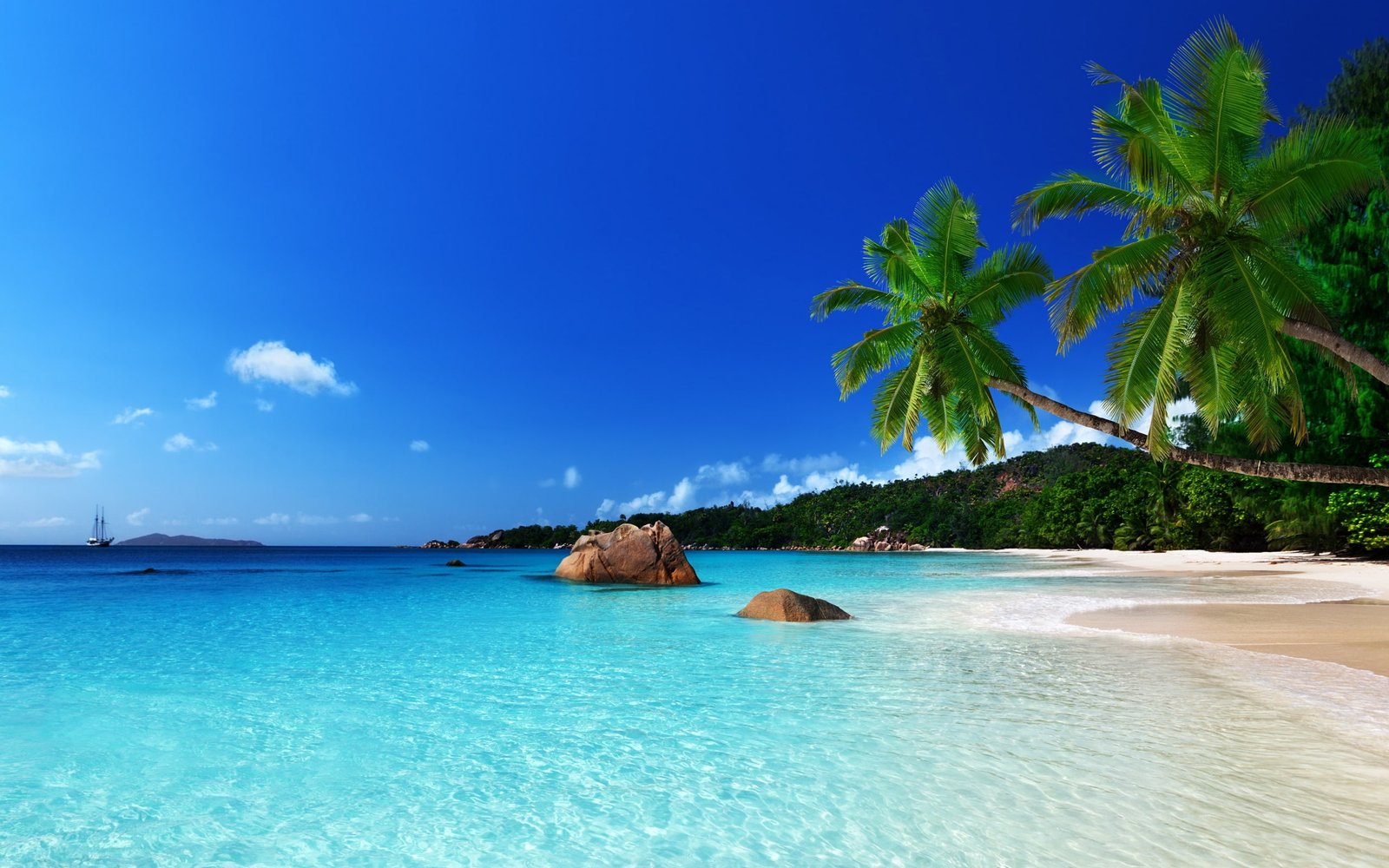 Tropical Paradise Beach Ocean Sea Palm Summer Coast 2k