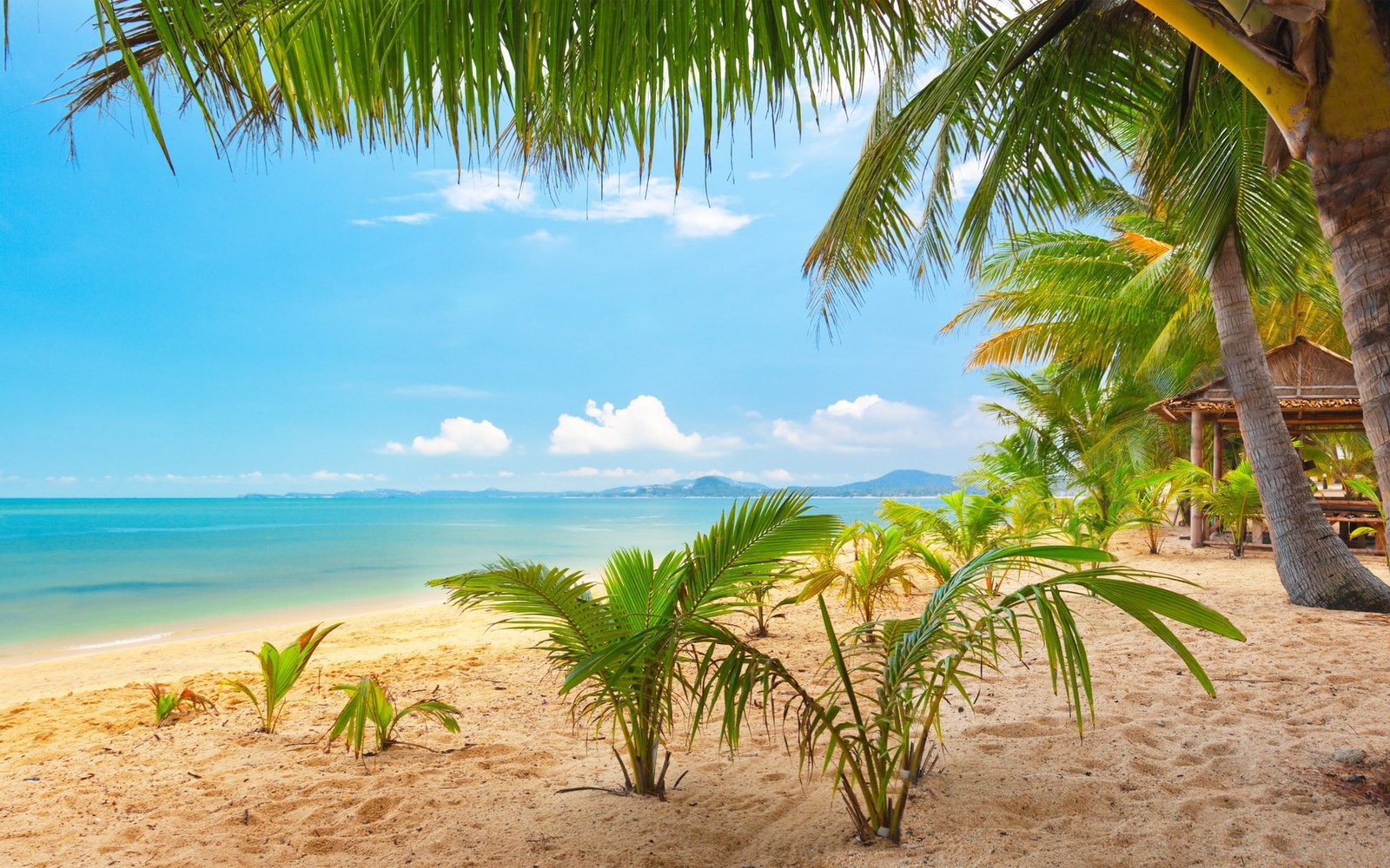 background pictures nature hd images 2k