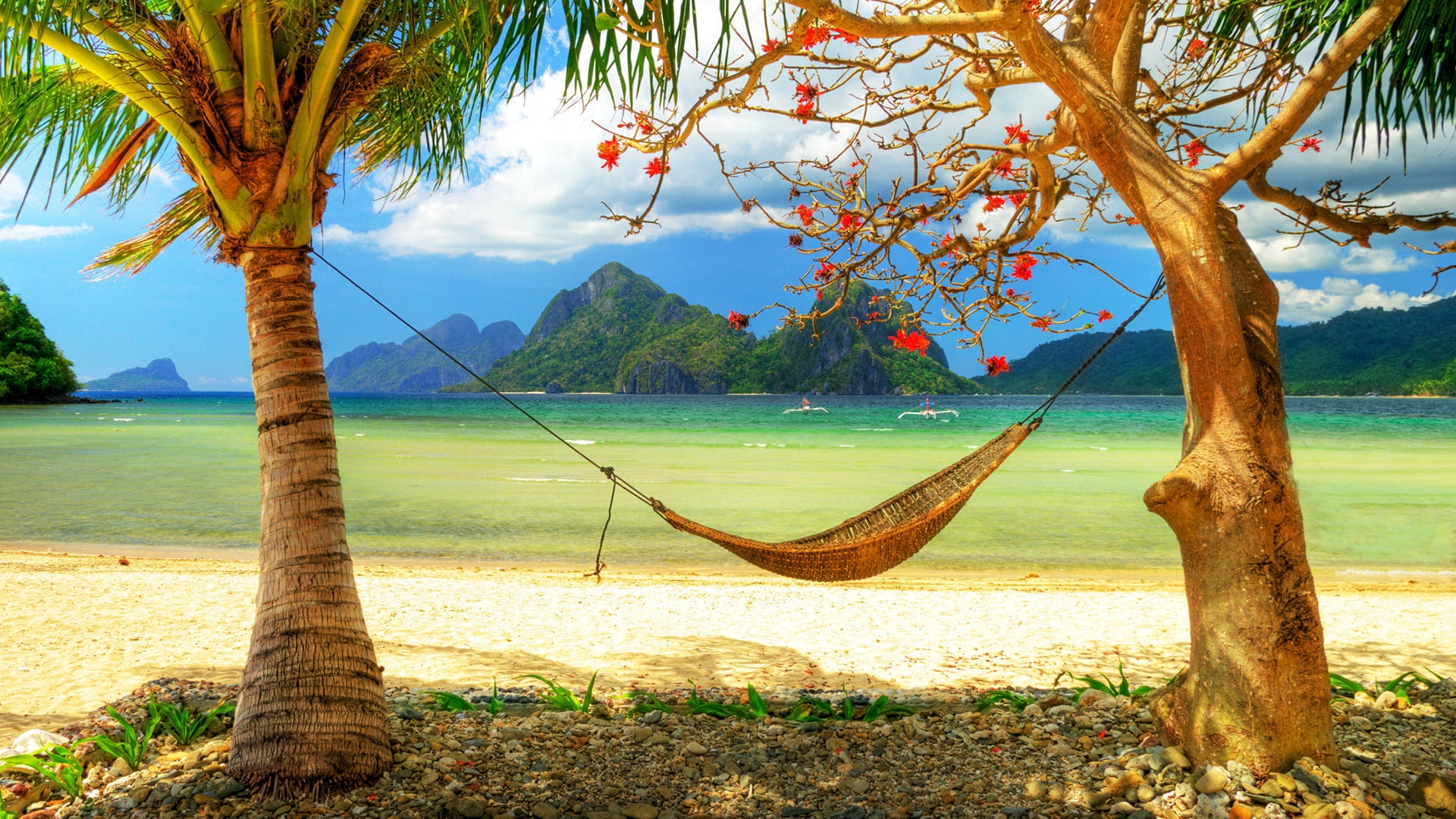 brown hammock coast leaves beach relax privacy sea nature 2k