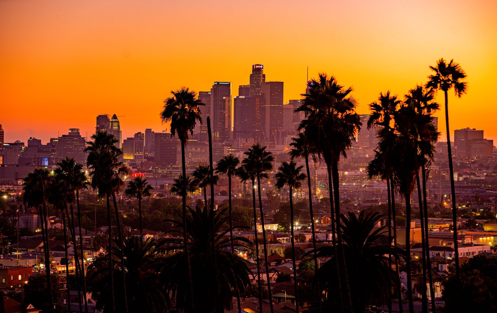 city palm trees sunset building skyscraper Los Angeles 2k