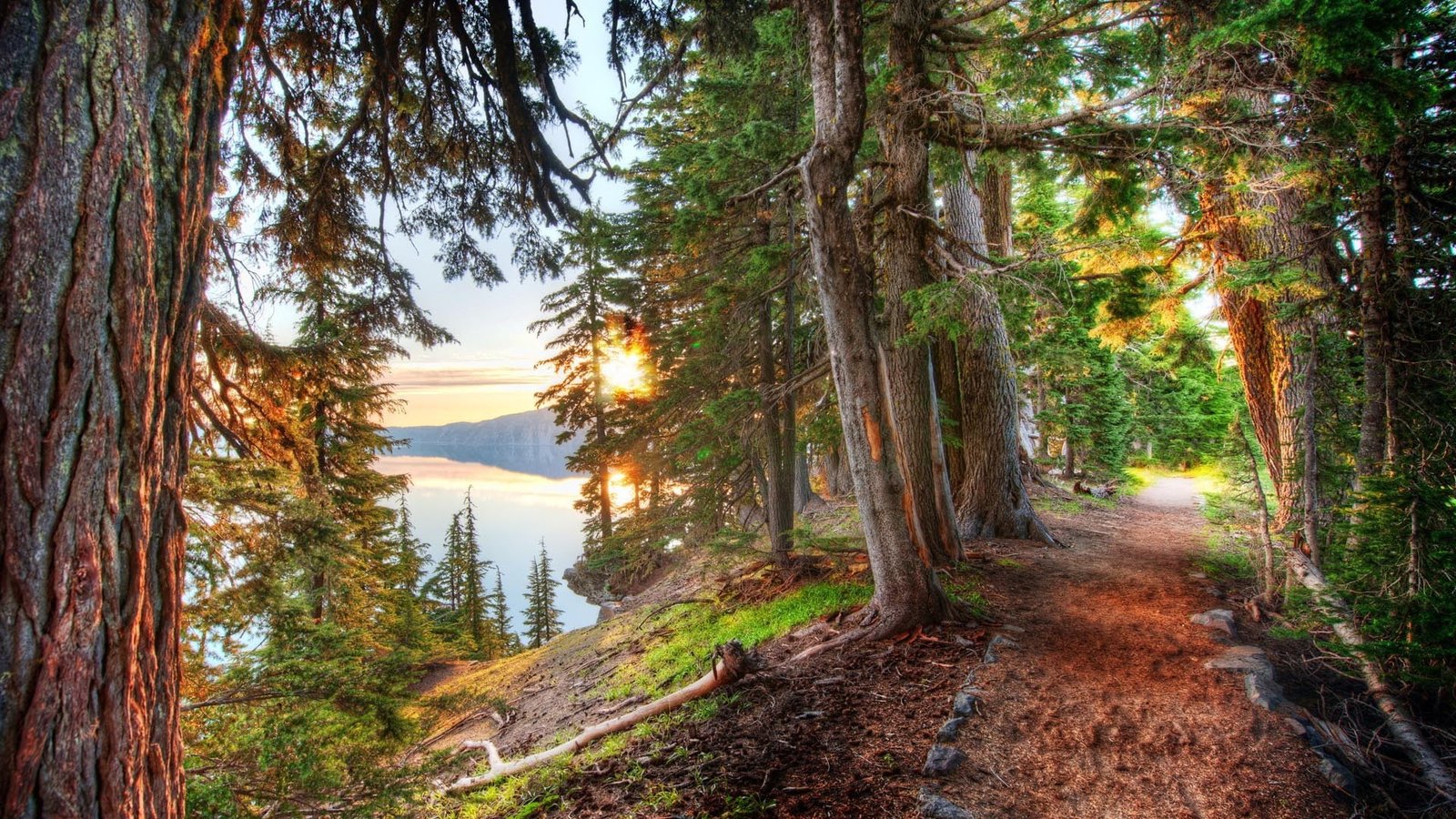 green leafed trees nature HDR landscape lake forest path 2k