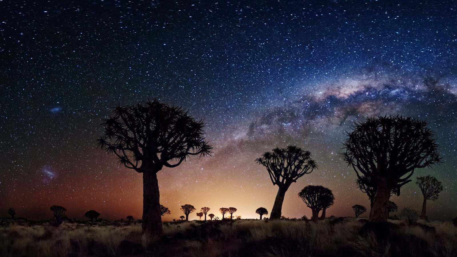 Night Landscape The Milky Way Trees Desert Area In Joshua Tree National Park United States Desktop Hd Wallpaper 2k