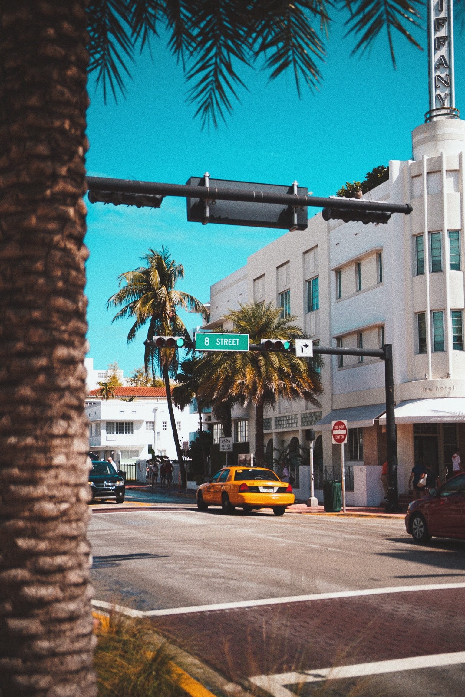 united states miami beach south palm tree sreet portrait 2k