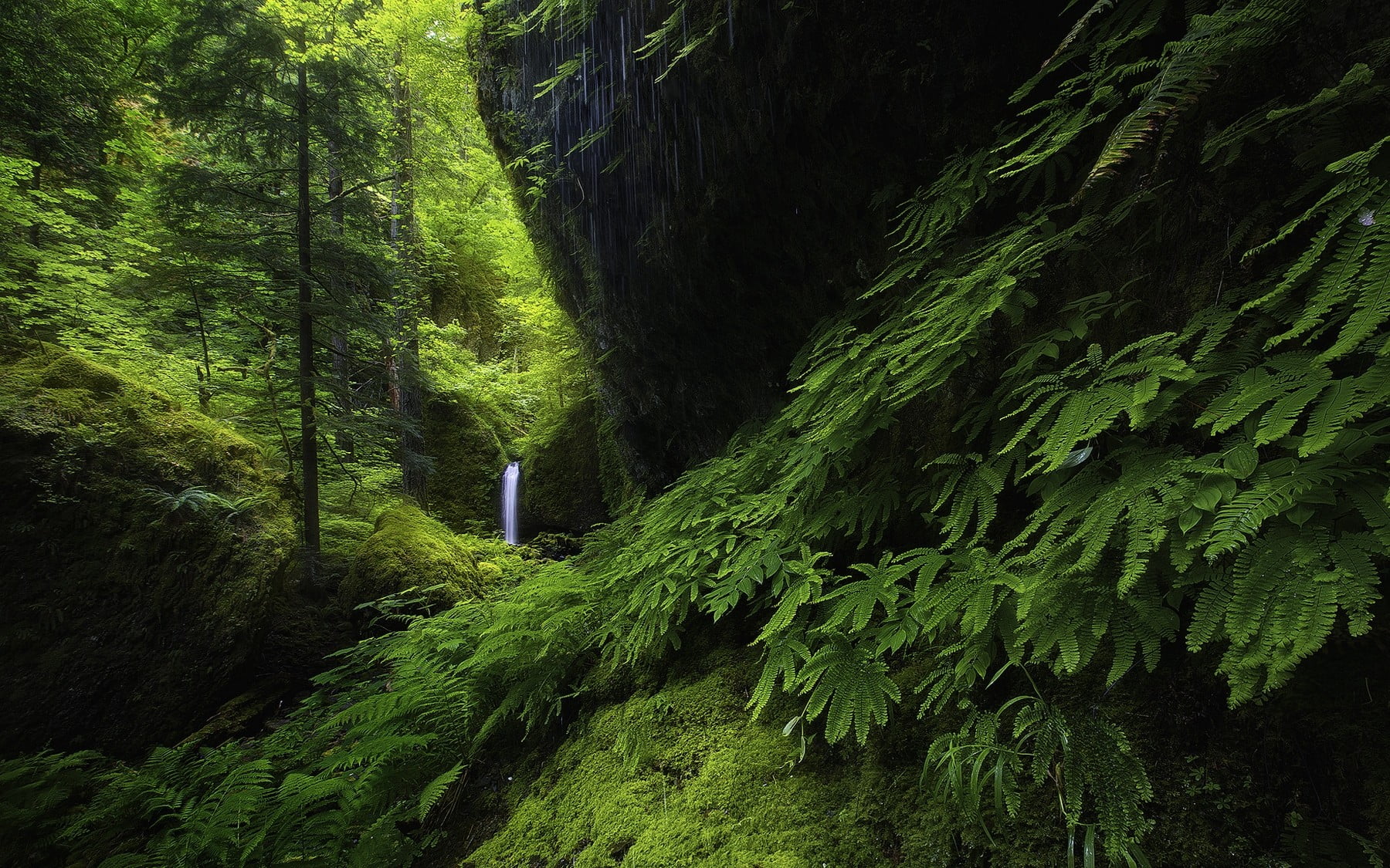 waterfall surrounded by boulders and green trees landscape nature 2k