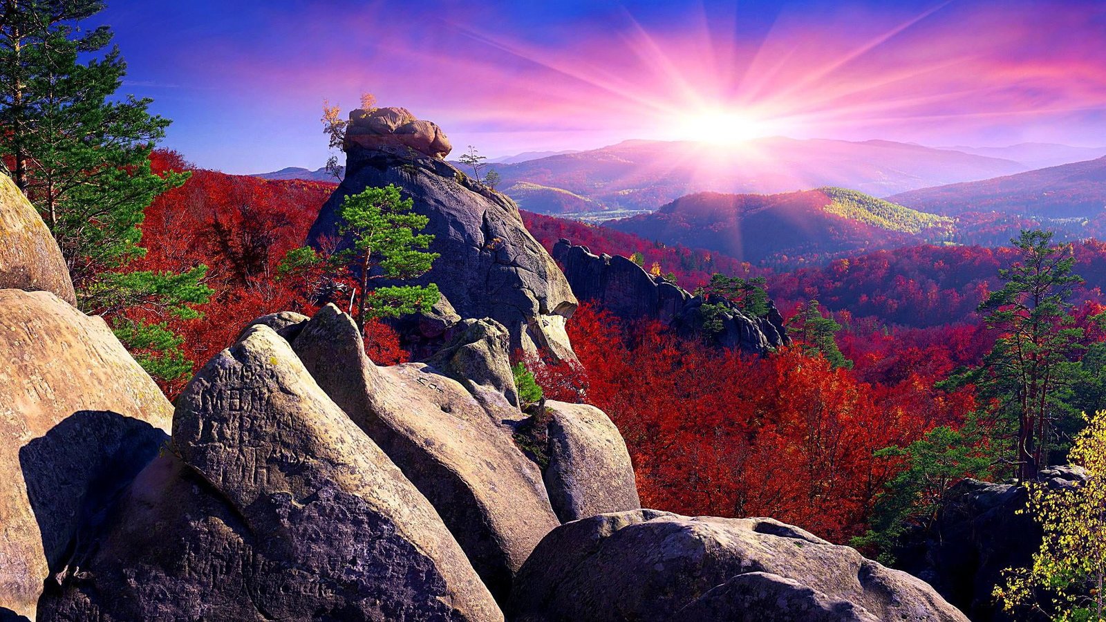 woody plant europe ukraine landscape autumn mount scenery 2k