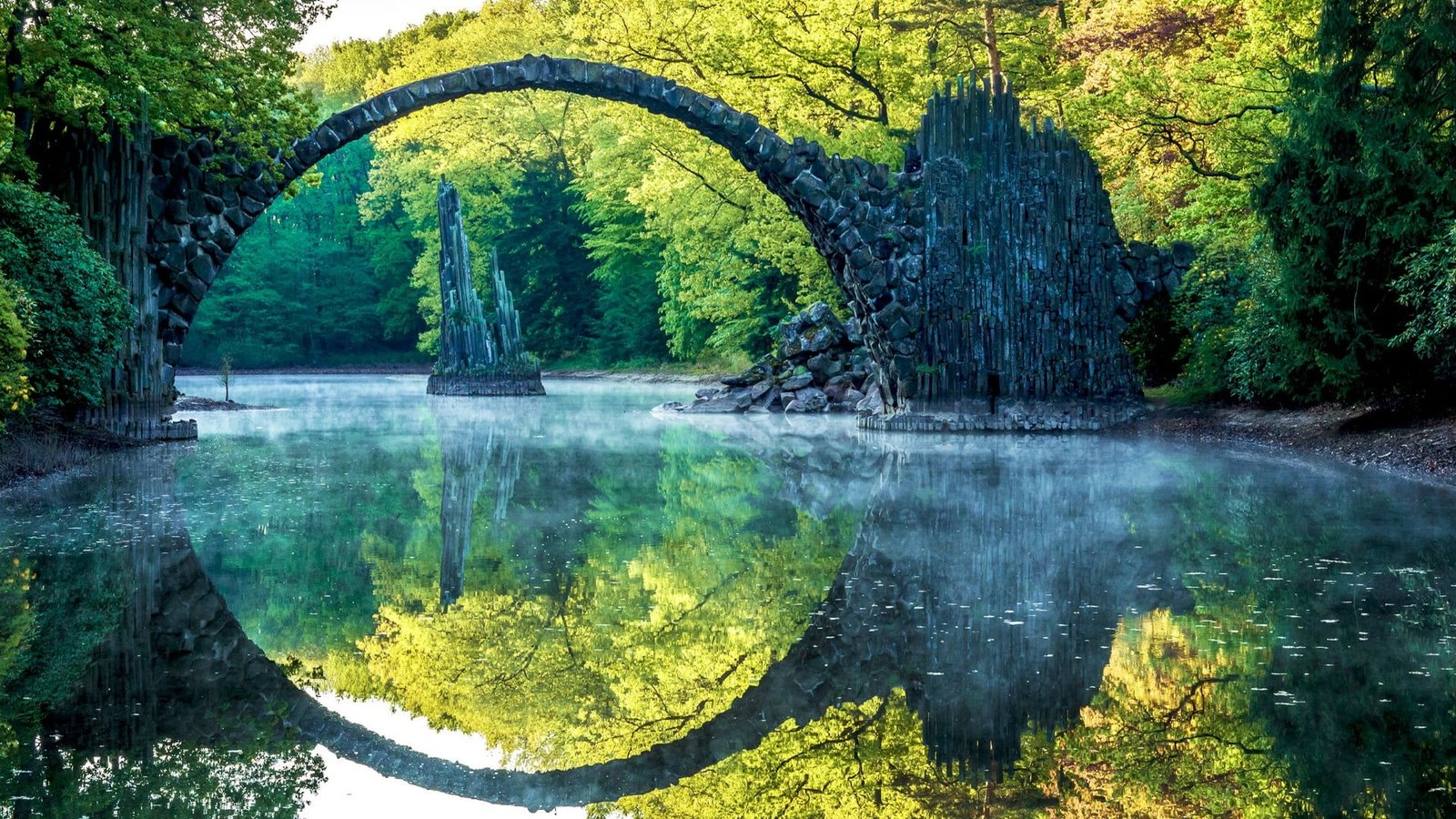 reflection nature water green park vegetation tree pond 2k