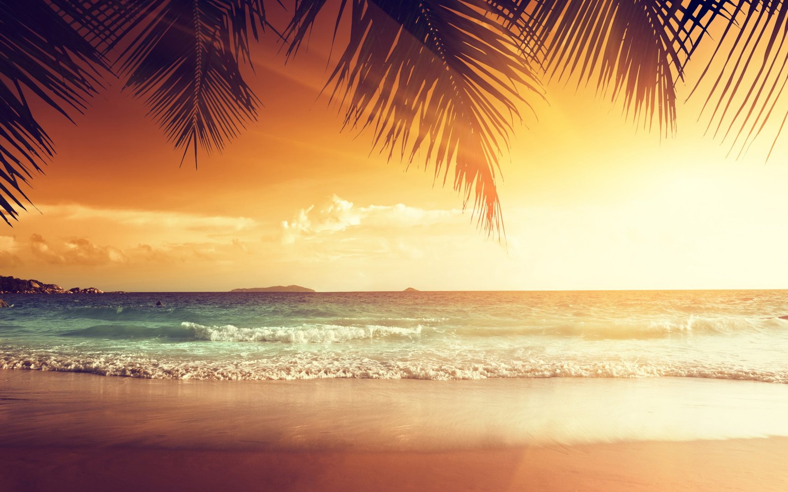 Tropical sunset paradise beach coast Sea Ocean palm summer 2k