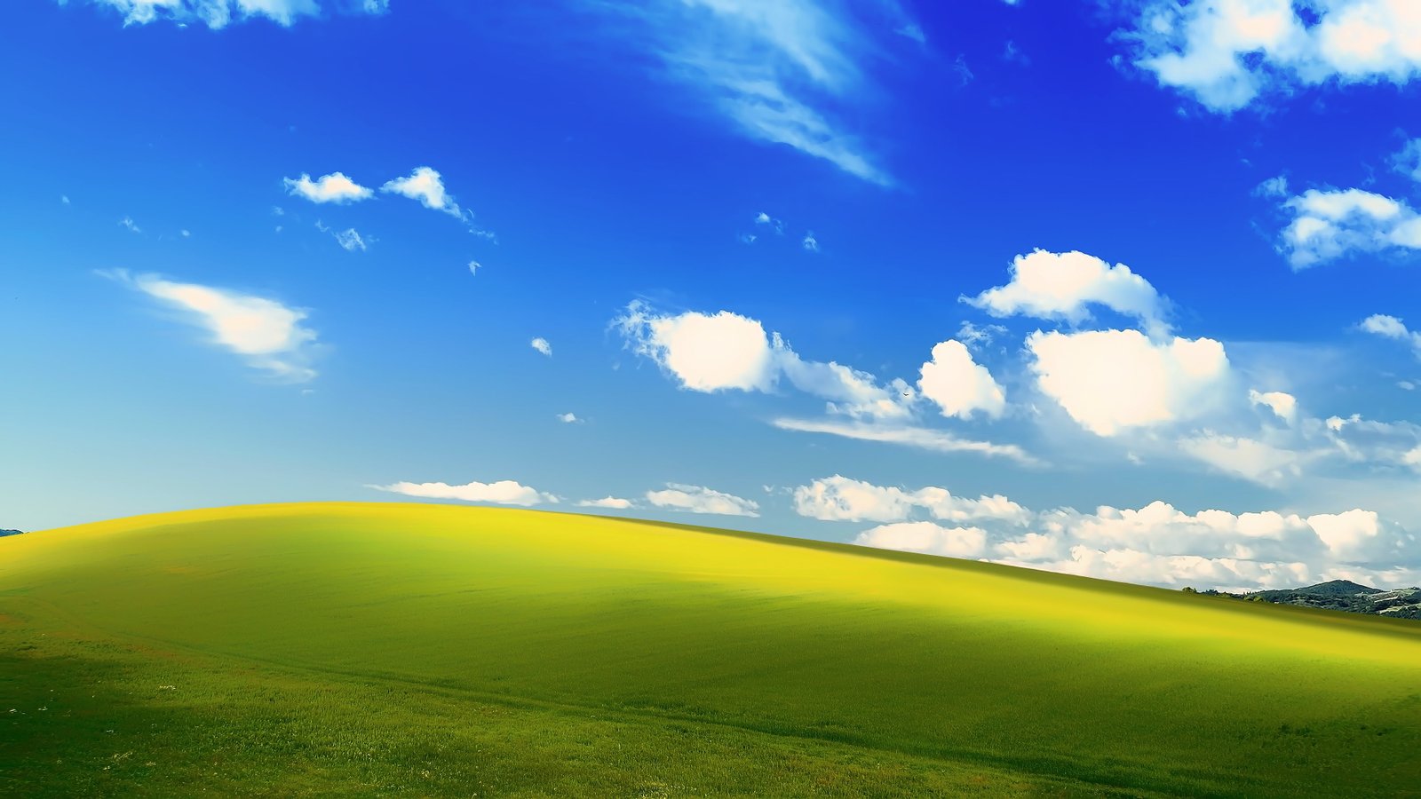 green grass field under the blue skies wallpaper Microsoft Windows 2k 4k
