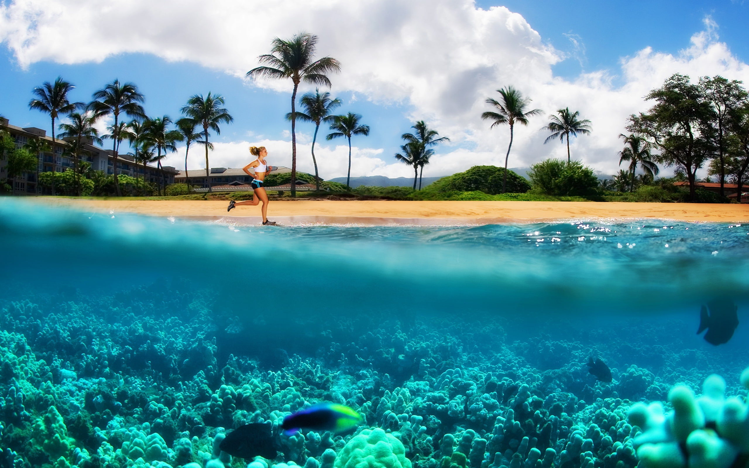 Kanappali Beach Maui Hawaii Desktop Background 2k