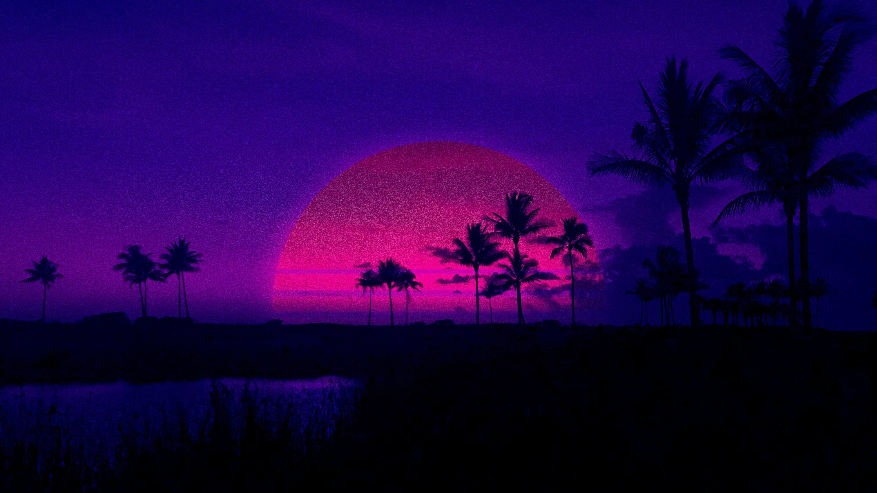 silhouette of pine trees palm Retrowave purple sunset 2k
