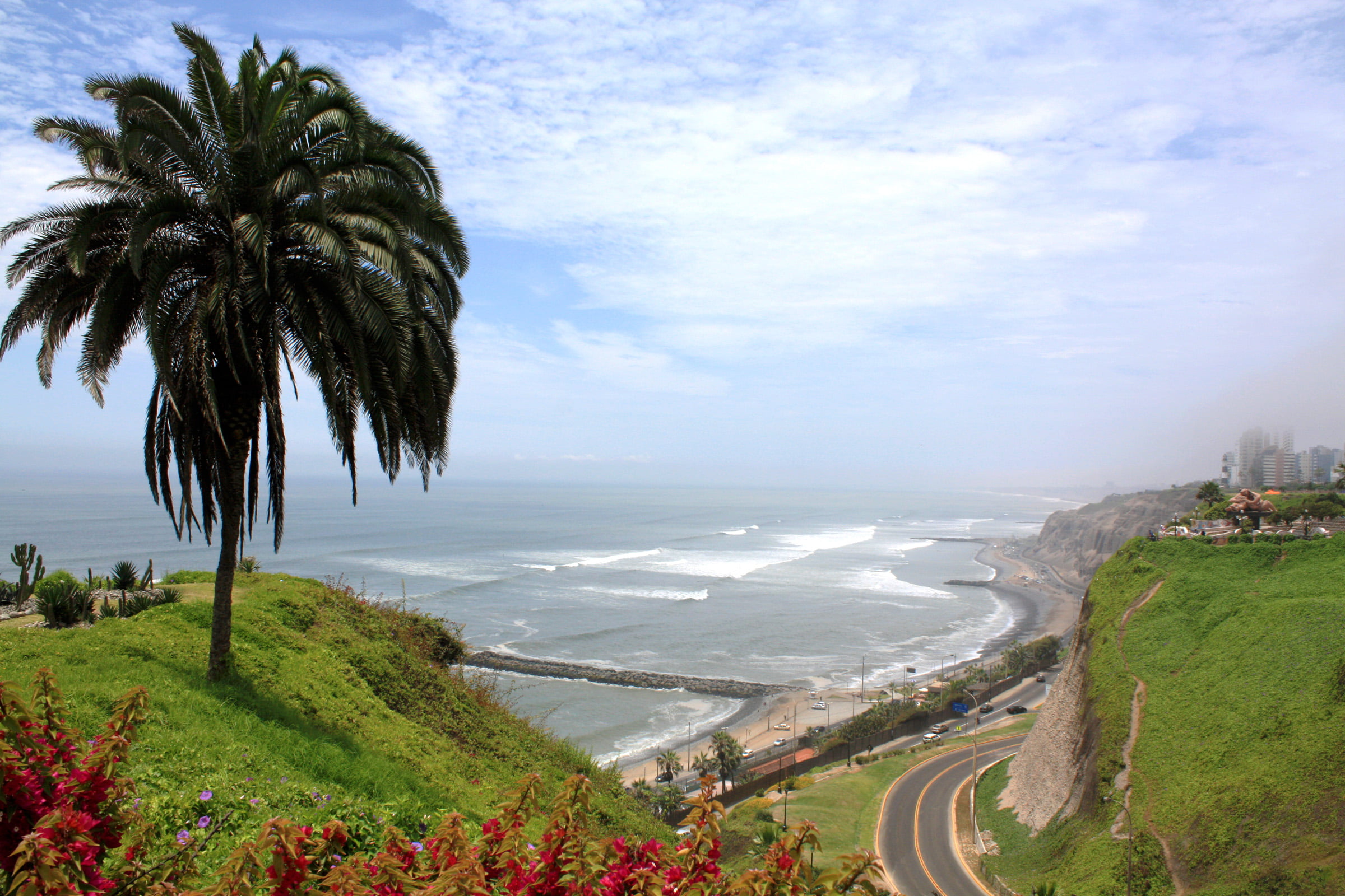 aerial photo of a palm tree road and sea miraflores 2k