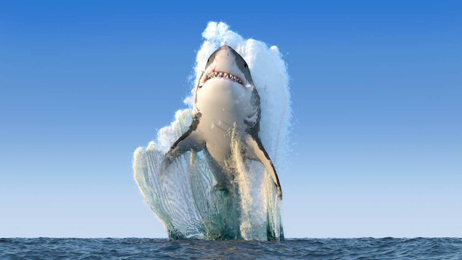 Great White Shark render sea fangs Photoshop water sky 2k 4k