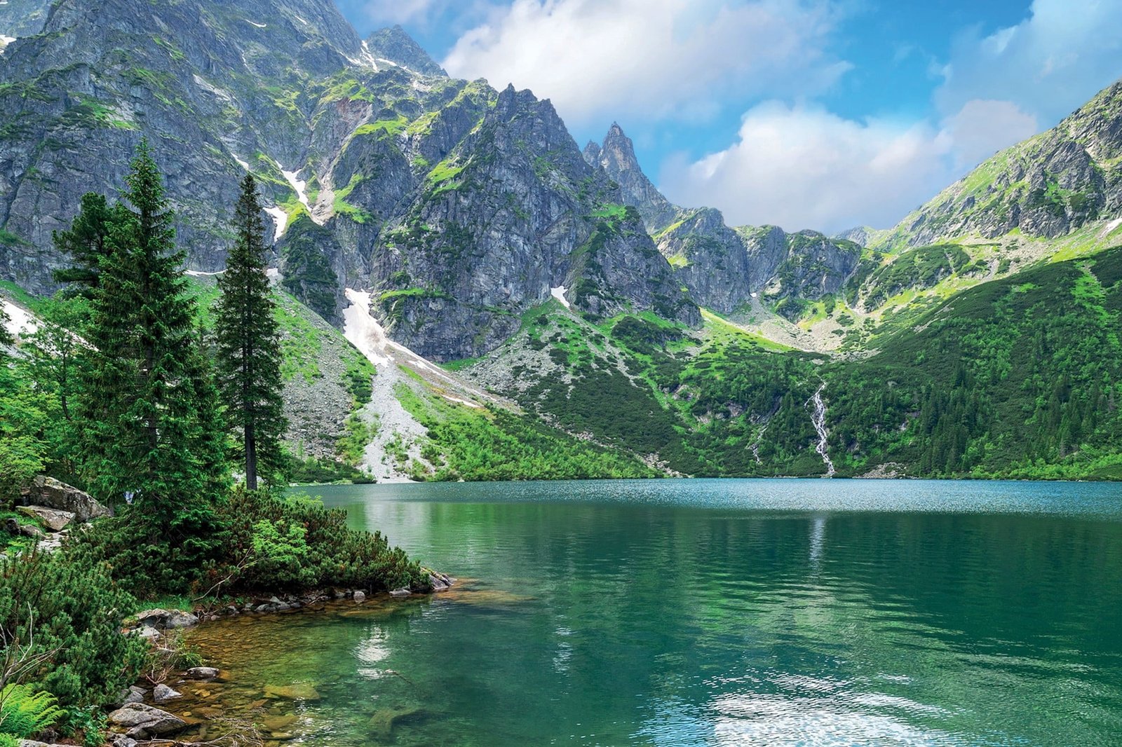 green leafed tree photography nature landscape mountains 2k
