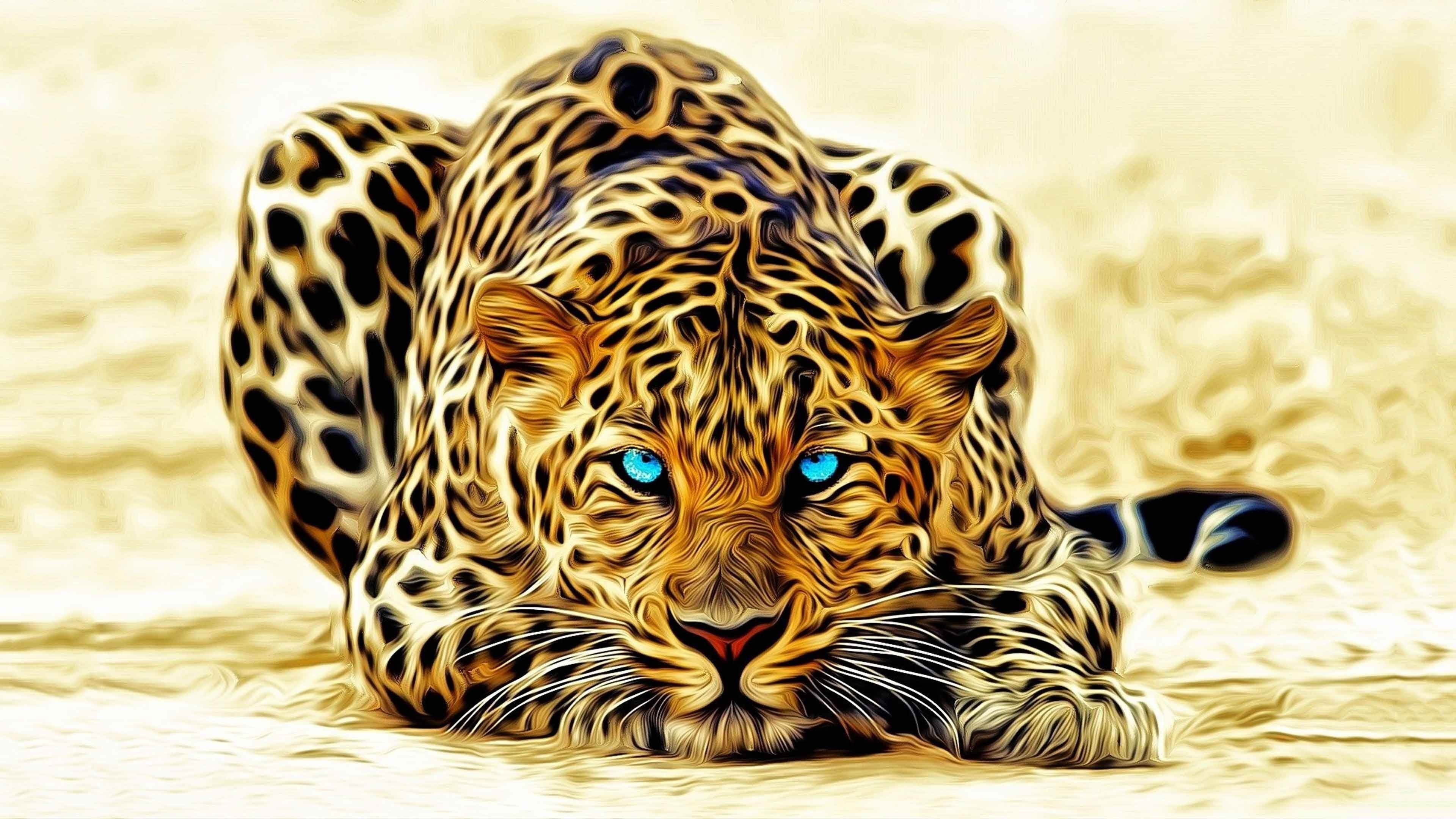 leopard high resolution for desktop download animal themes 2k 4k