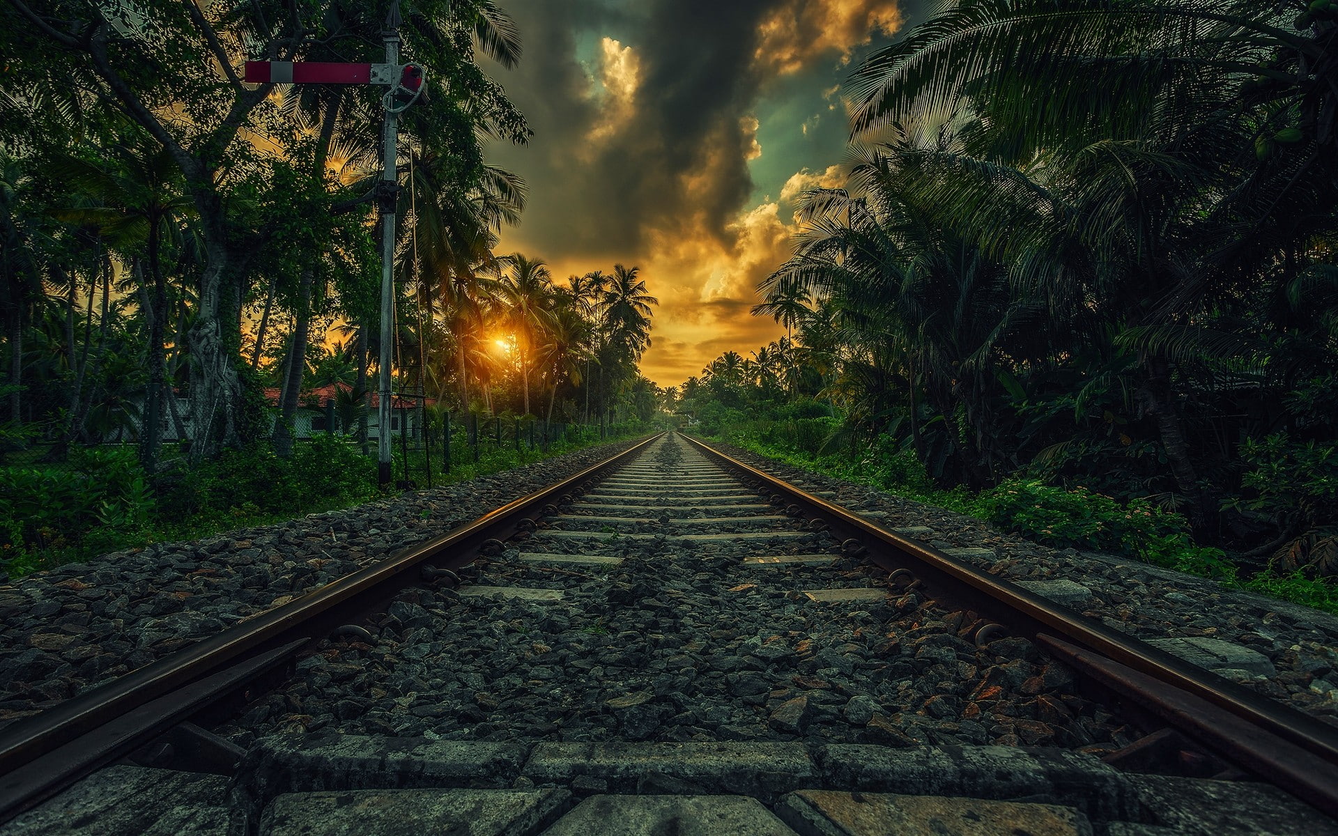 nature Sri Lanka railway clouds landscape sunset palm trees 2k