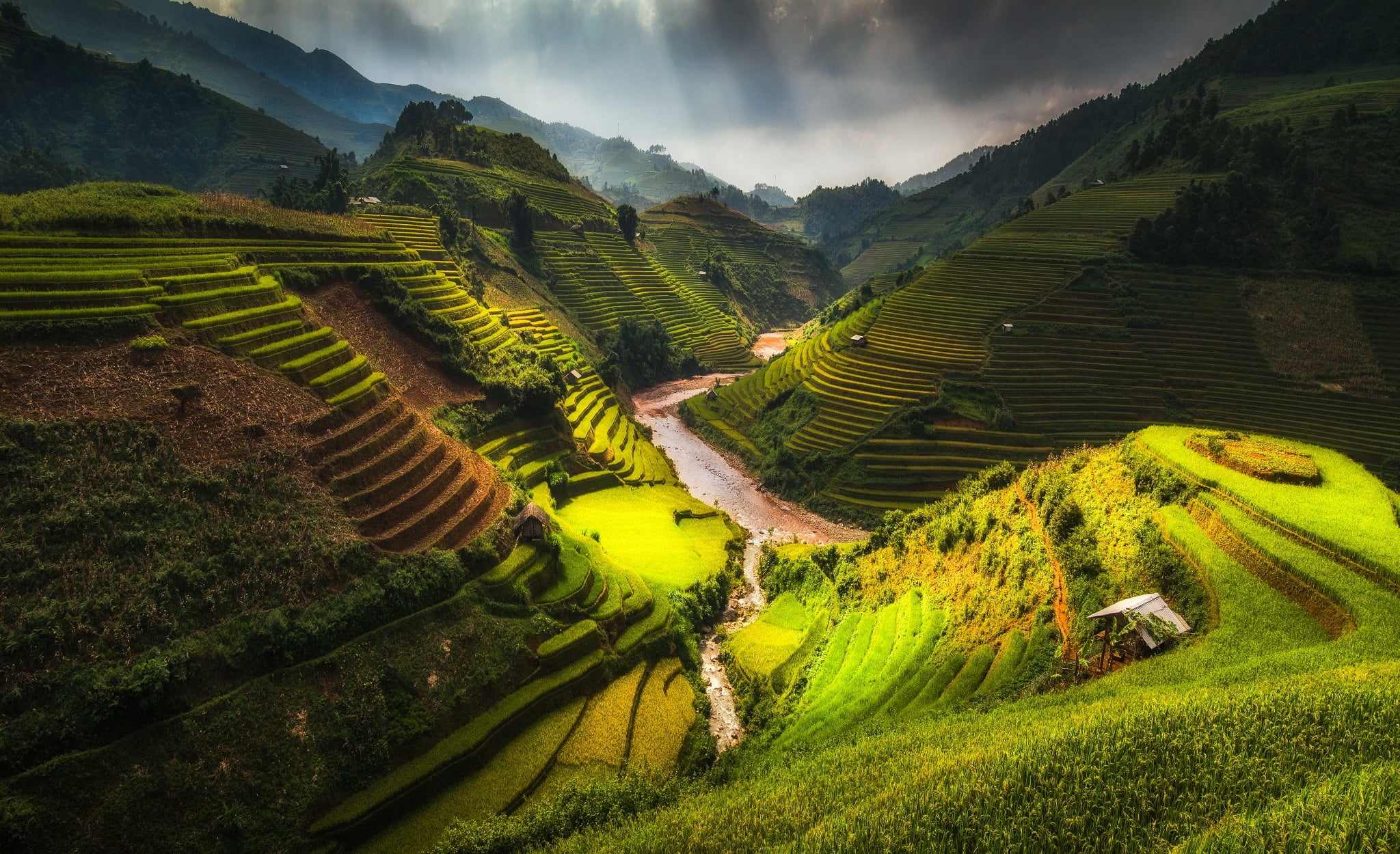 rice terraces nature terraced field clouds scenics 2k