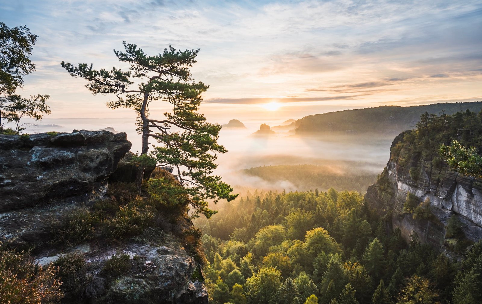 Smoky mountain national park photo luminous moment Hiking 2k