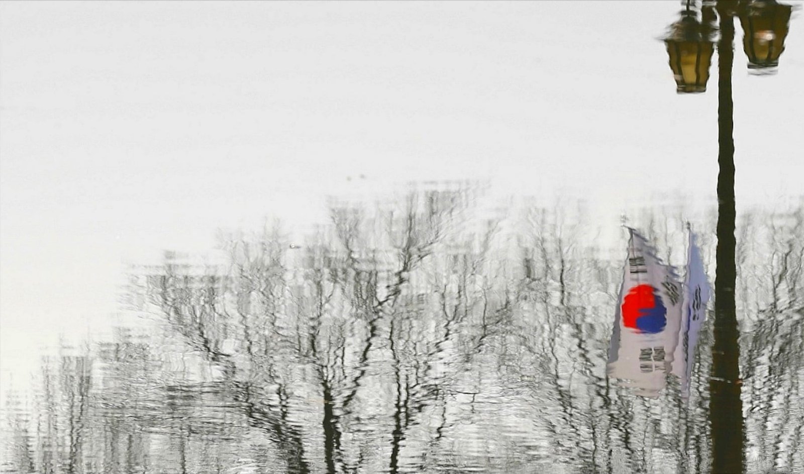 South Korea flag Asian Korean Taegeukgi water tree nature 2k