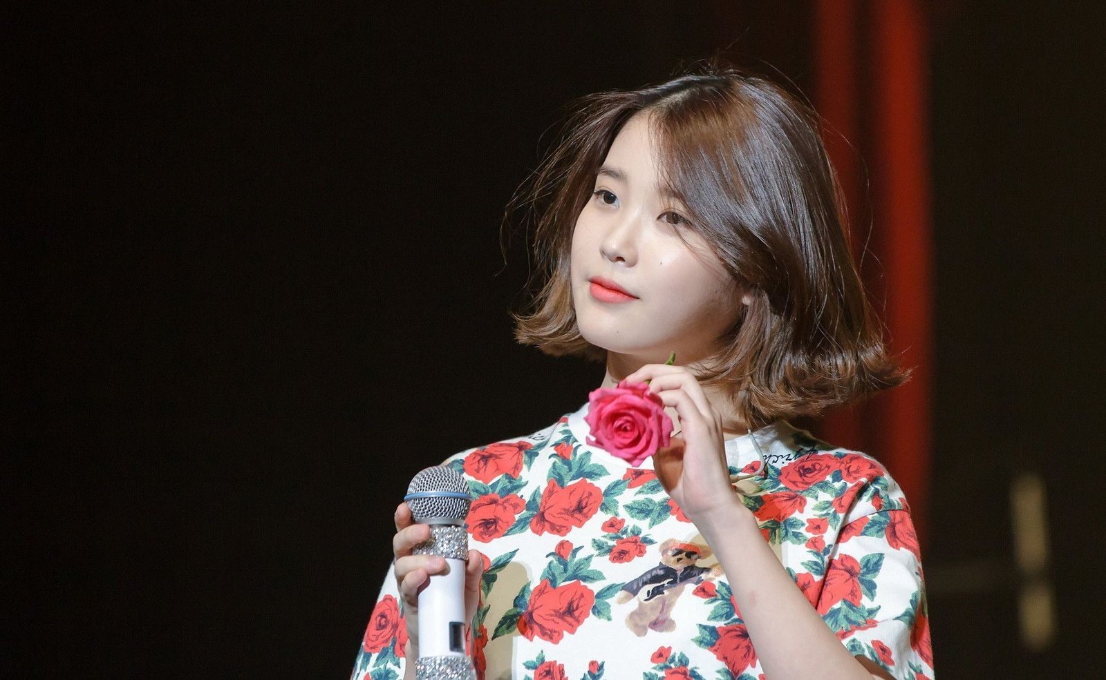 Asian IU celebrity Korean owl women 54 2k Lee Ji-eun