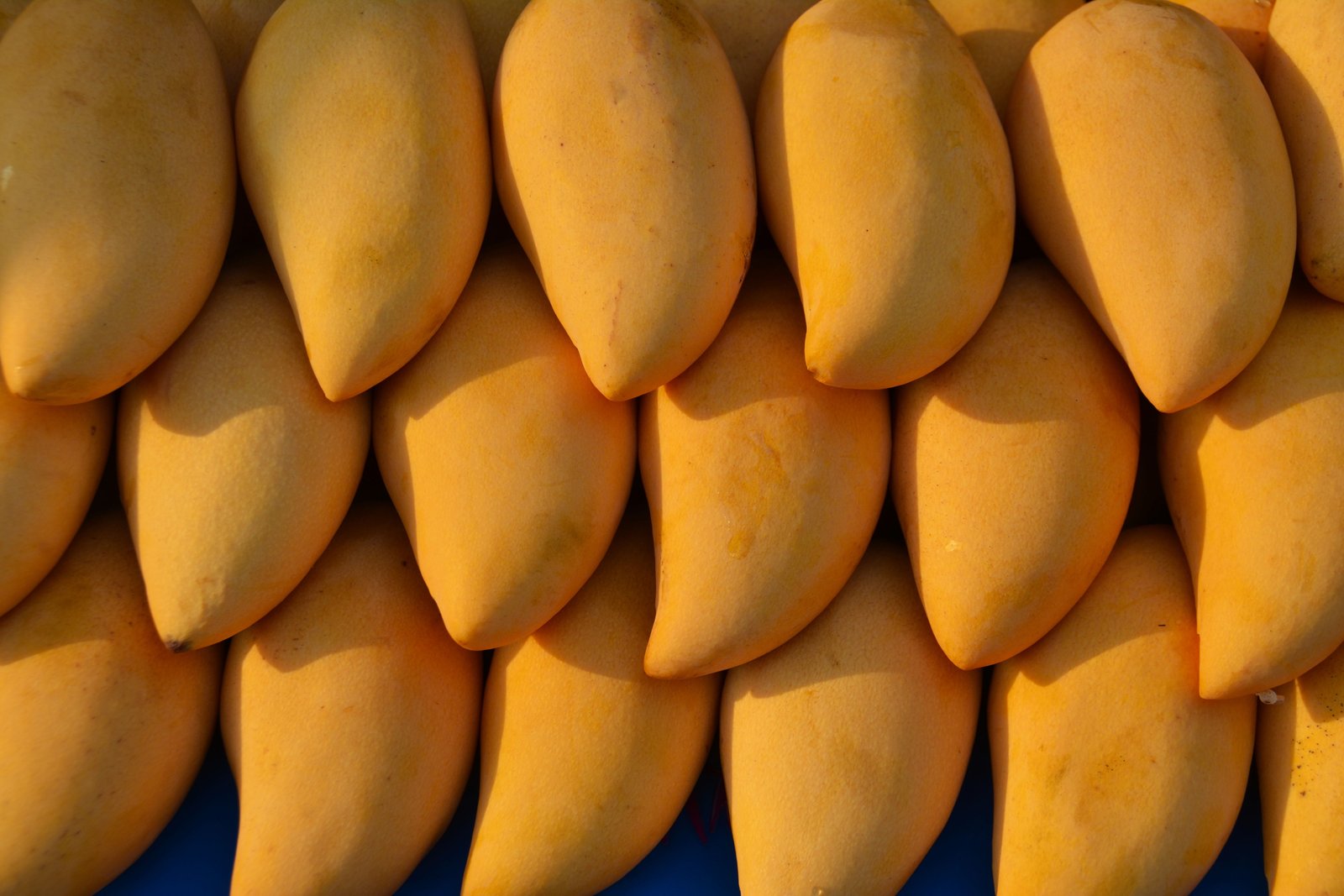 close view of three stacks yellow mango fruit mangoes food 2k 4k 5k