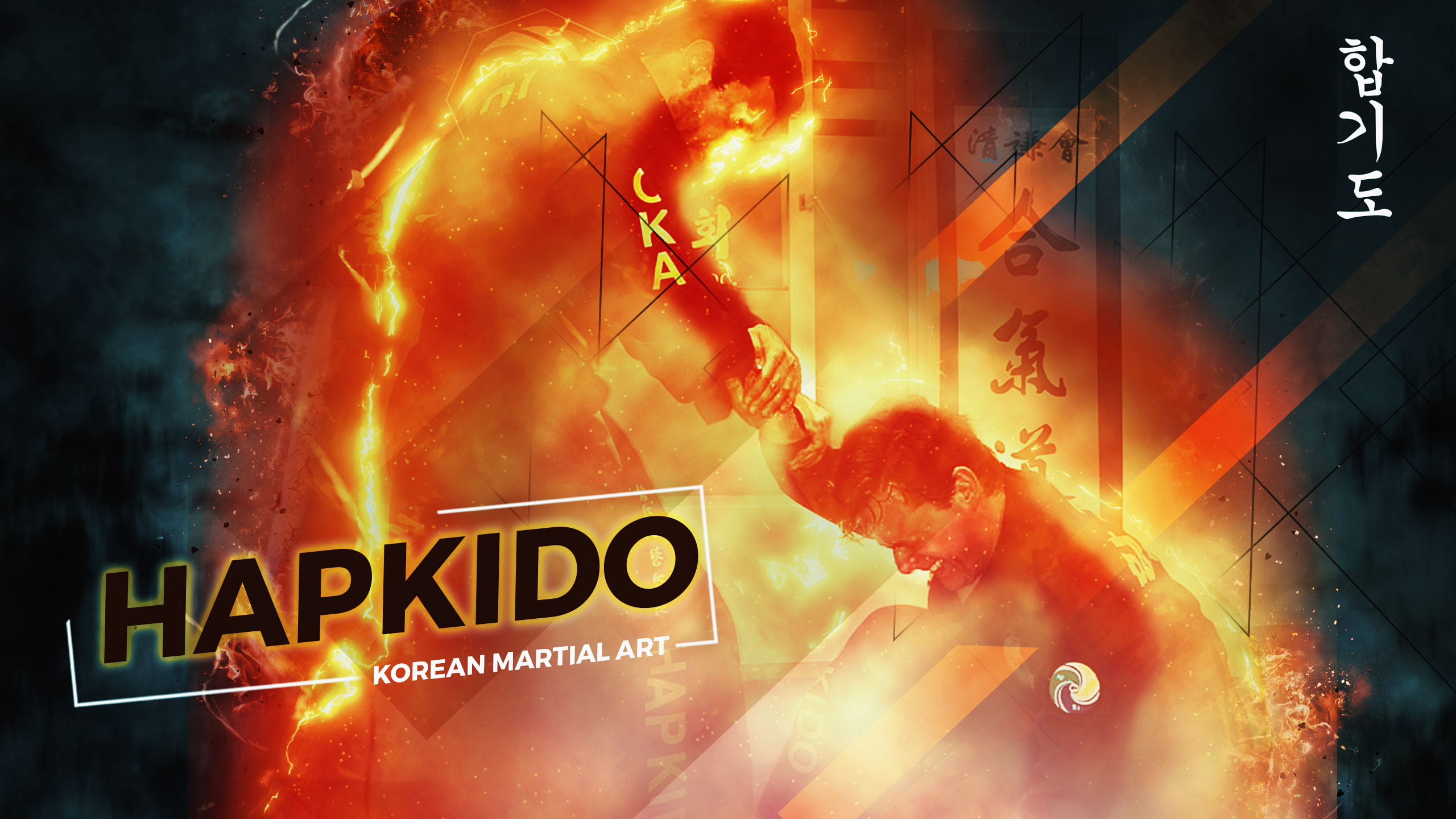 hapkido korean martial arts 2k