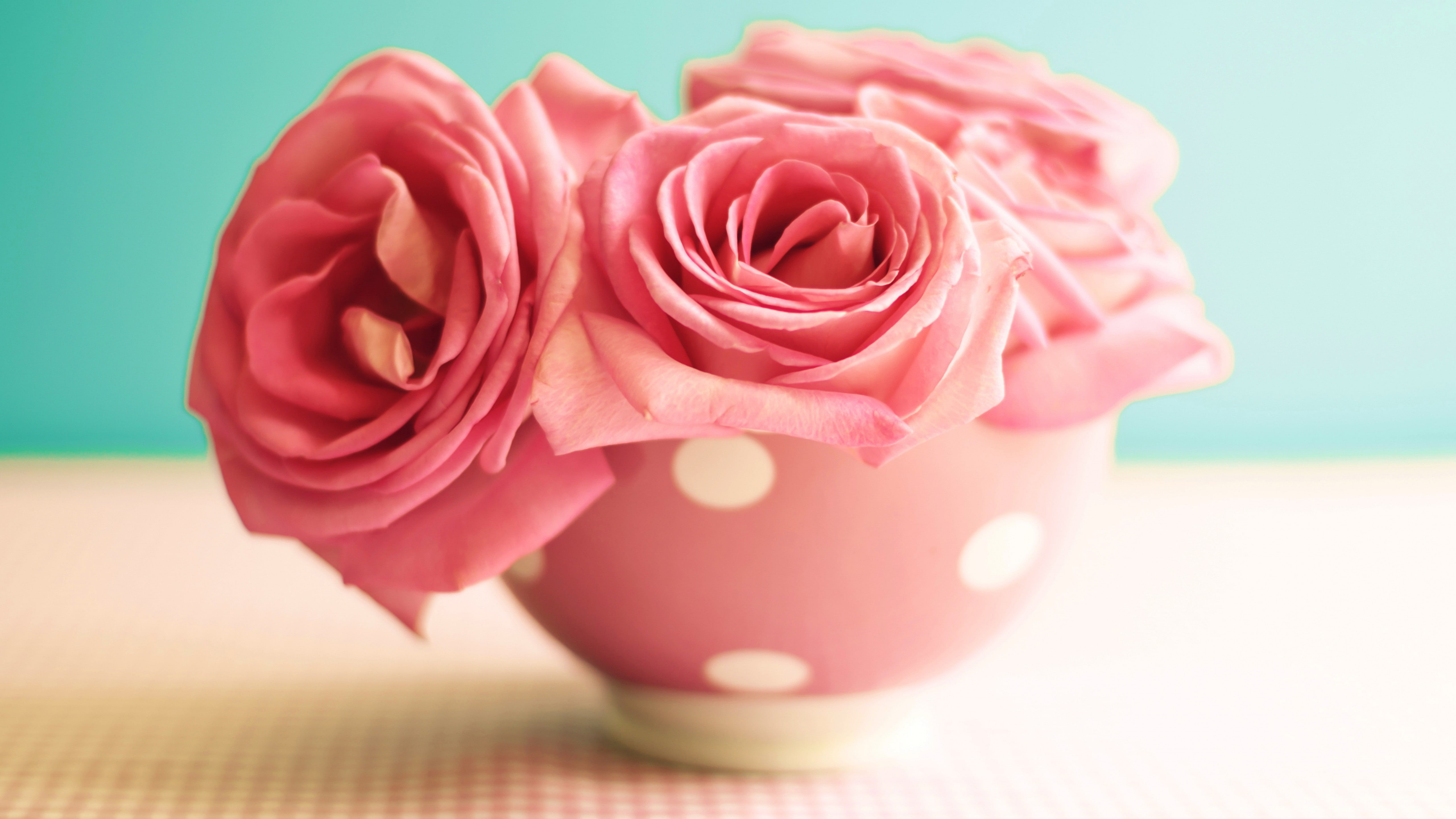 four pink rose with and white polka dot vase centerpiece close up photography 2k 4k 5k