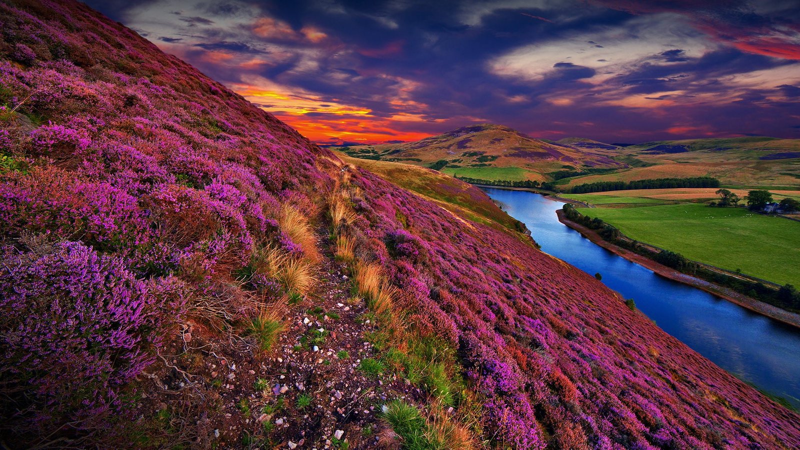 nature landscape clouds sunset flowers river water grass 2k