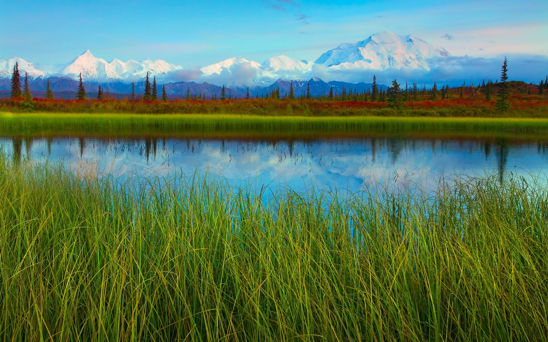 Denali National Park spring scenery lake mountains 2k