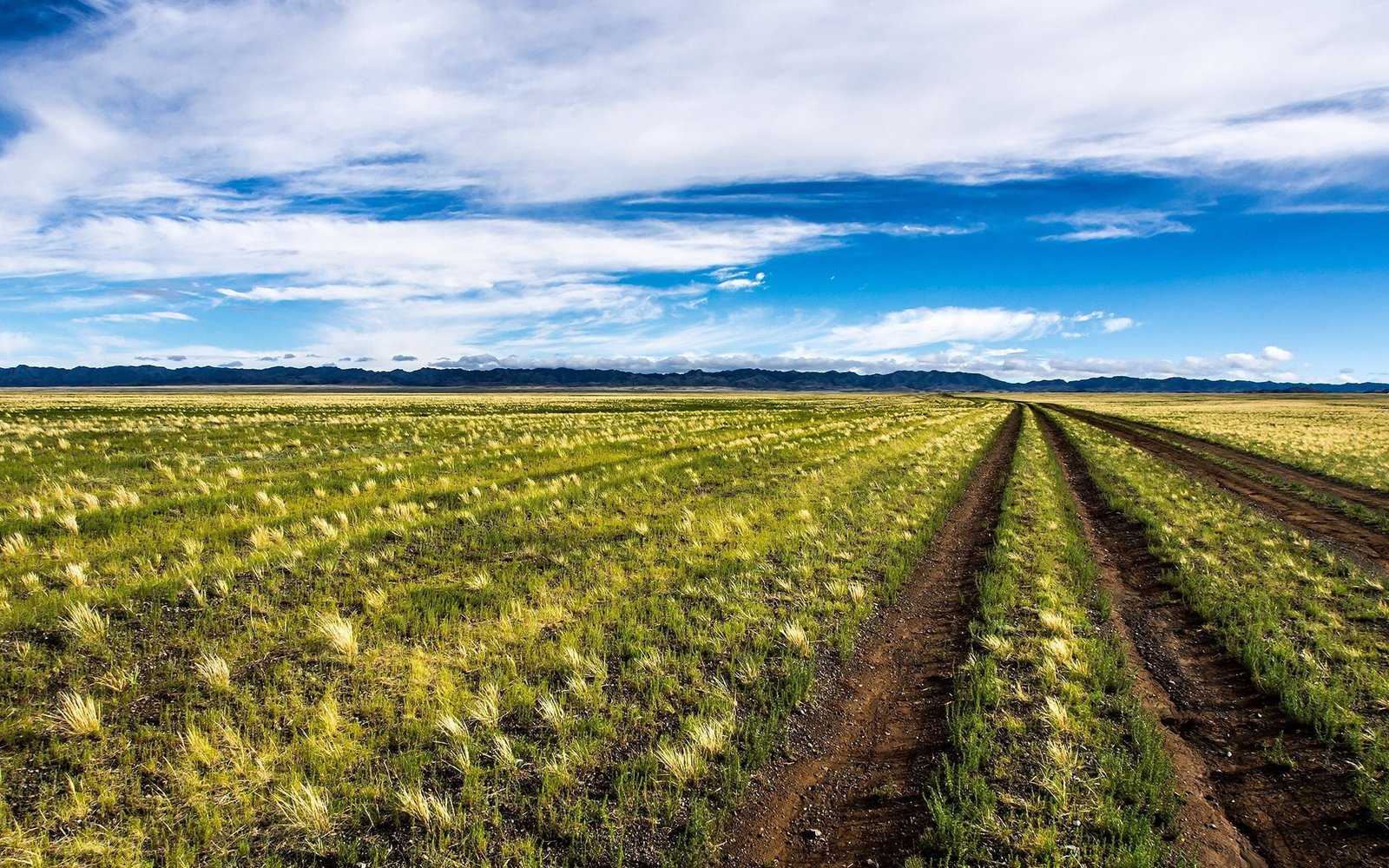 Mongolia beautiful nature scenery field blue sky clouds 2k