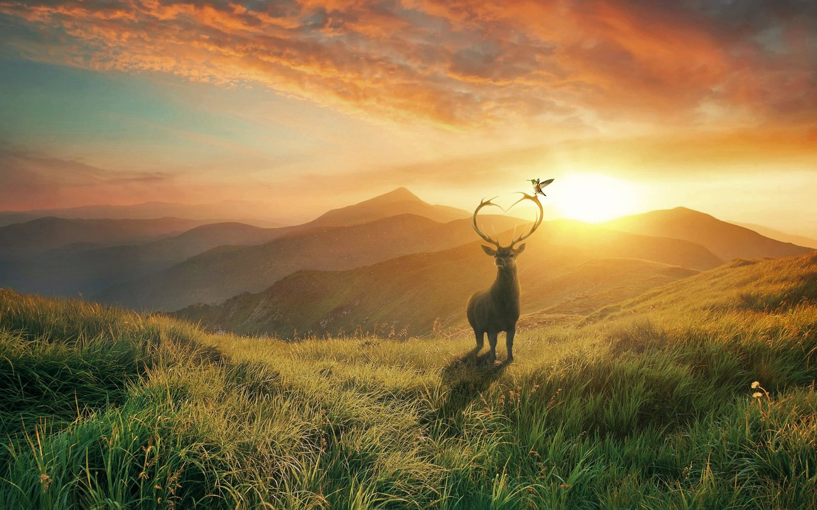 sunset Mountains deer HD 2k