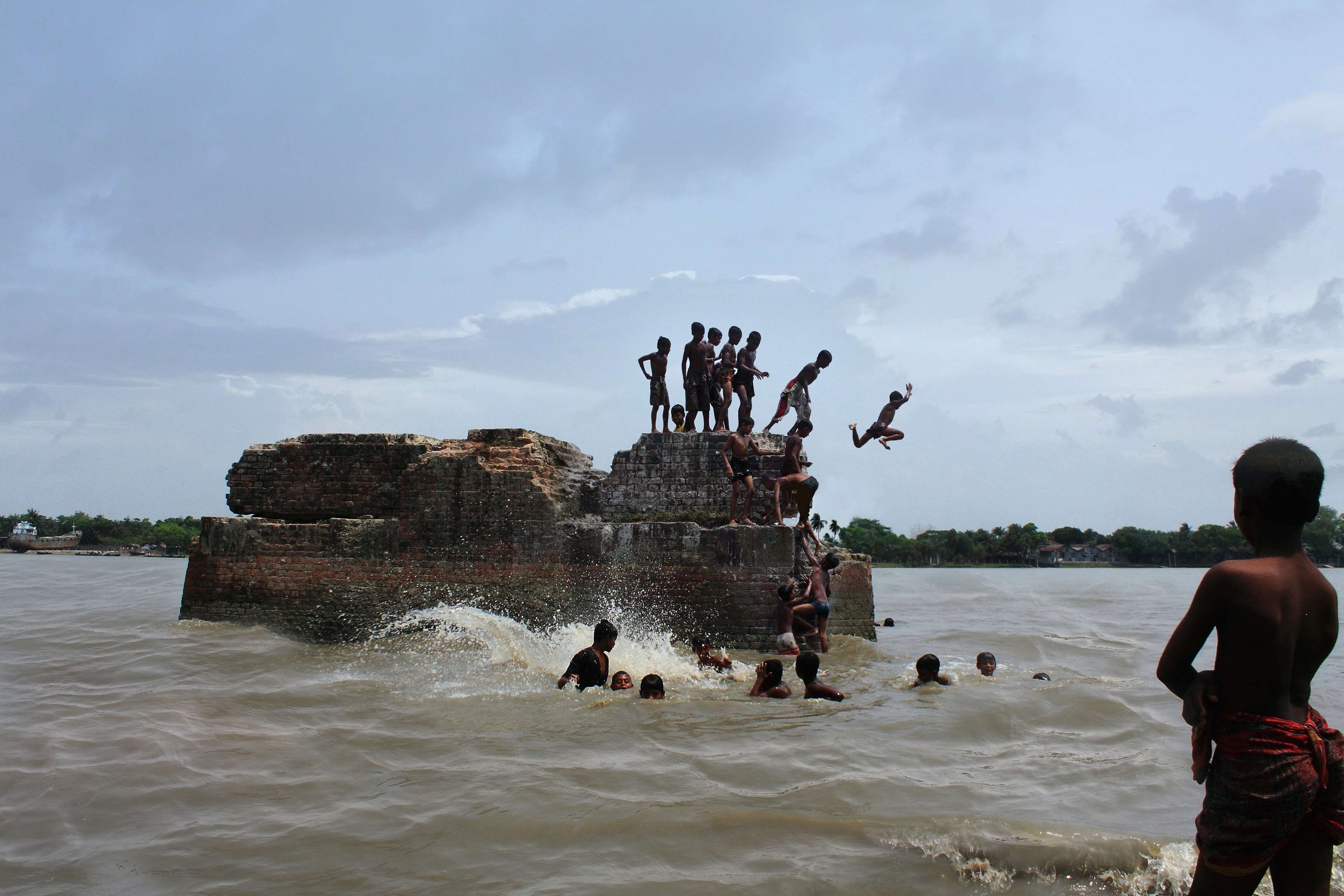 bangladesh canal fisherman flower nature paddy rice river 2k 4k