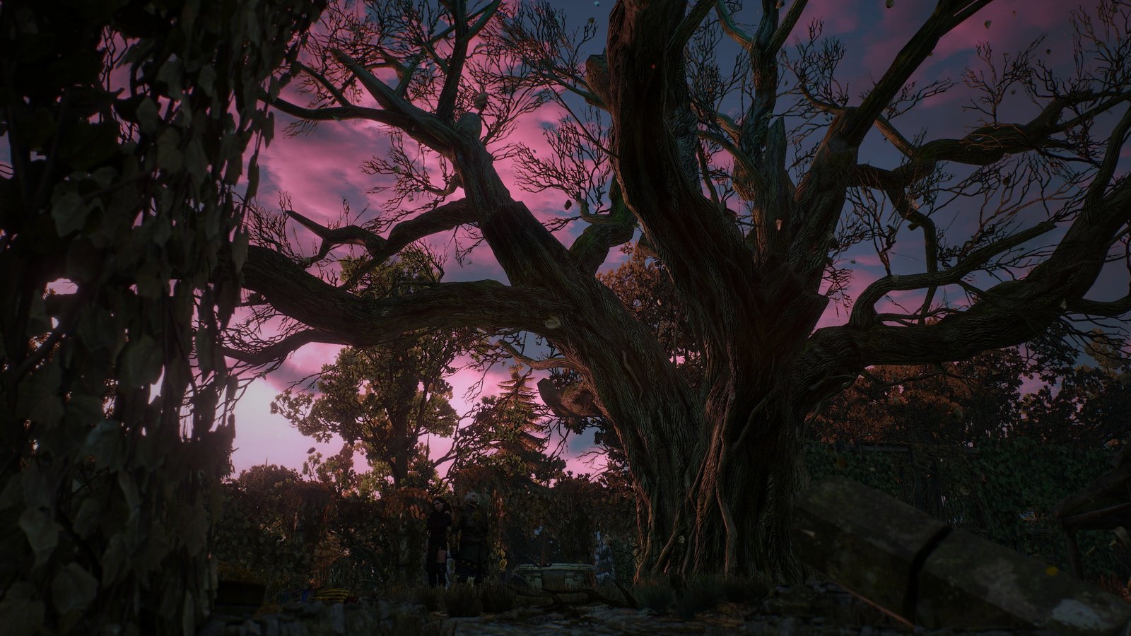 bare tree illustration The Witcher 3 Wild Hunt Geralt of Rivia 2k