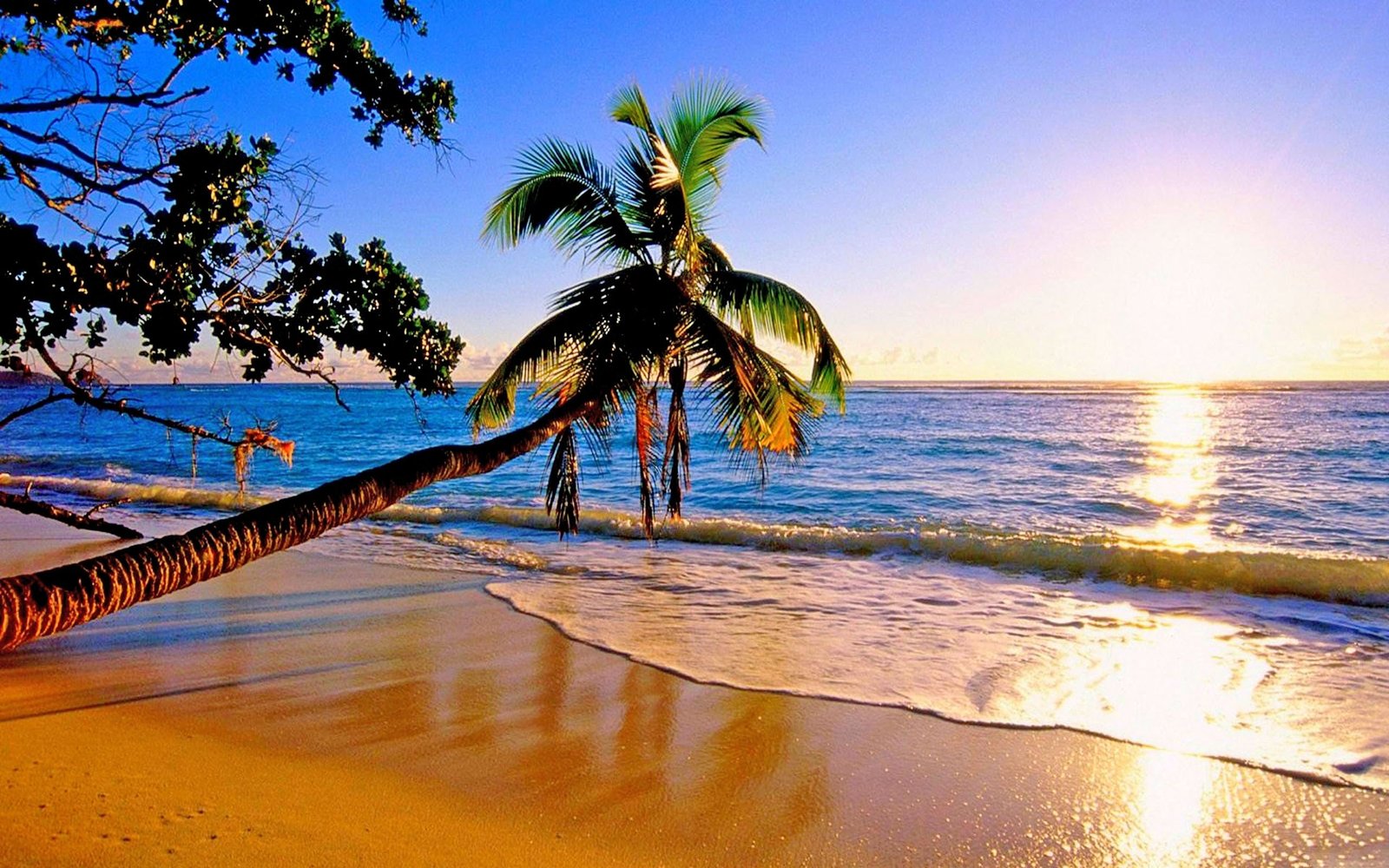 Beautiful Paradise Beach 2k