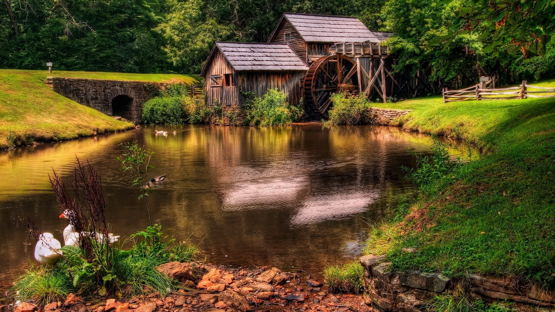 beautiful scenes of nature hd pictures 2k